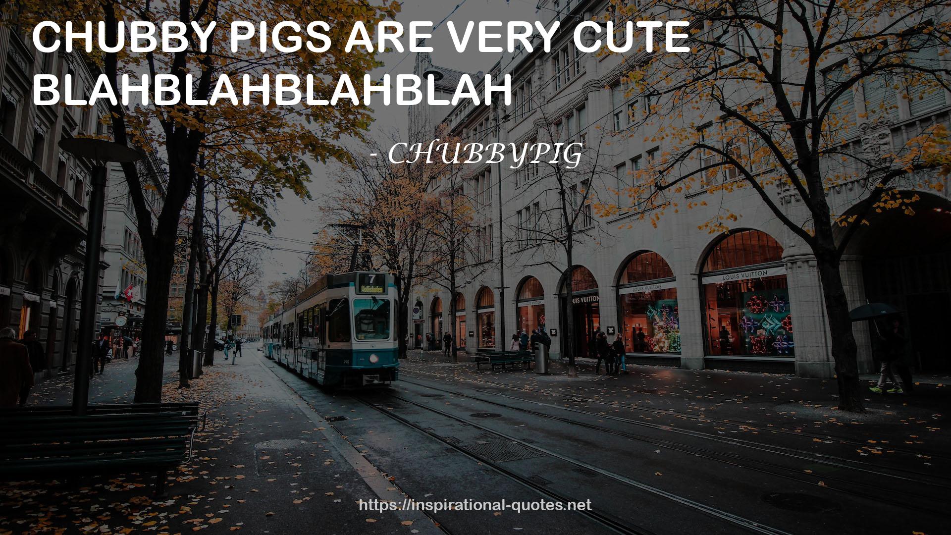 CHUBBYPIG QUOTES