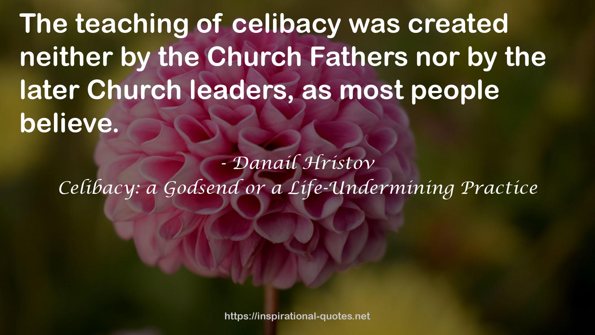 Celibacy: a Godsend or a Life-Undermining Practice QUOTES