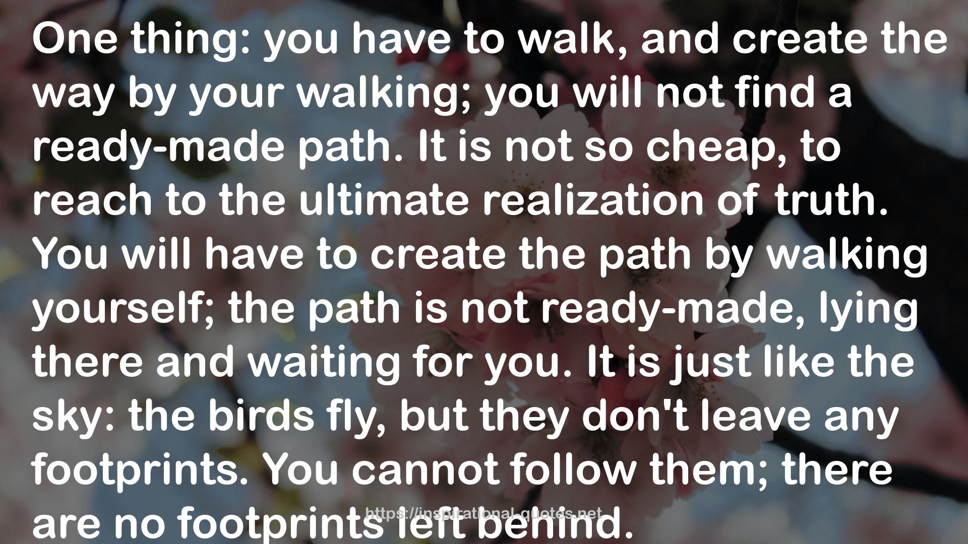 footprints  QUOTES