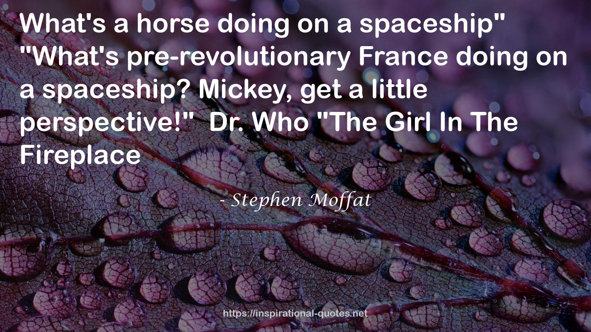 Stephen Moffat QUOTES