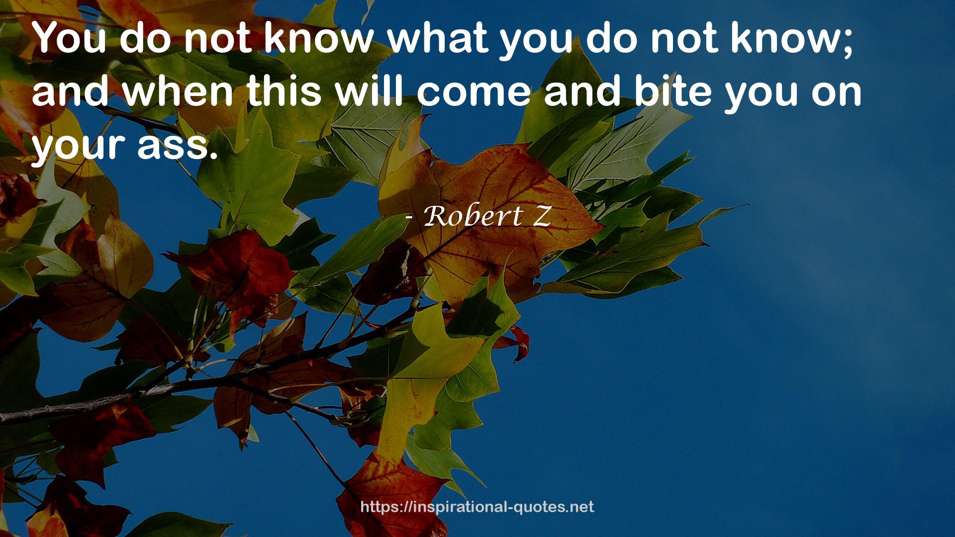 Robert Z QUOTES