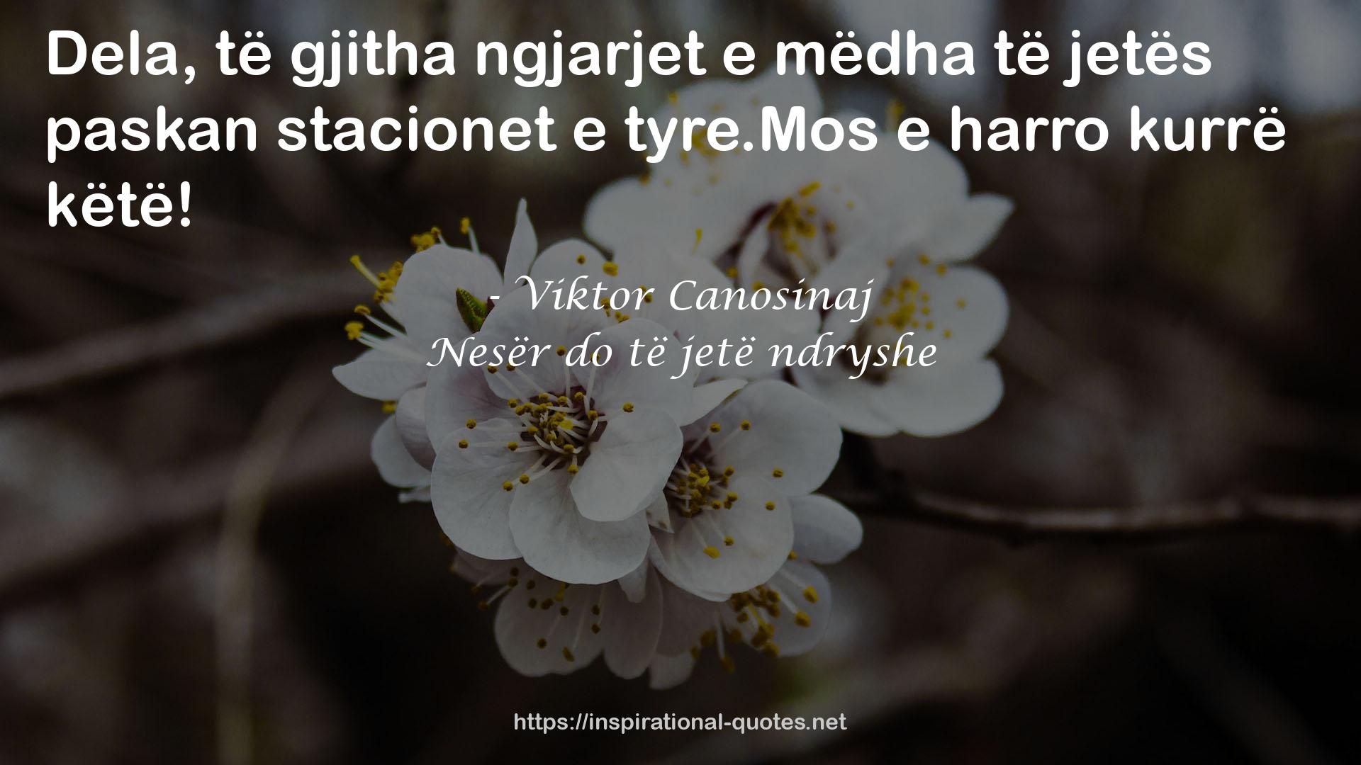 Nesër do të jetë ndryshe QUOTES