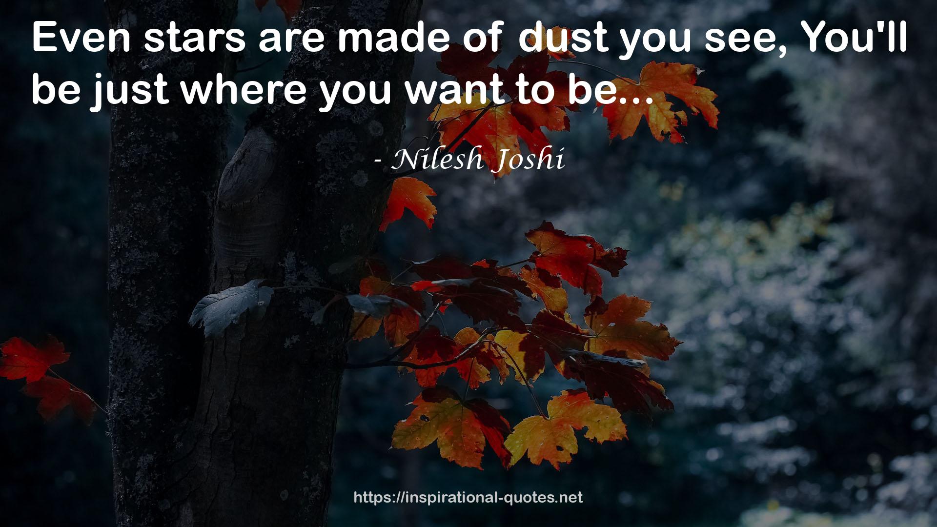 Nilesh Joshi QUOTES