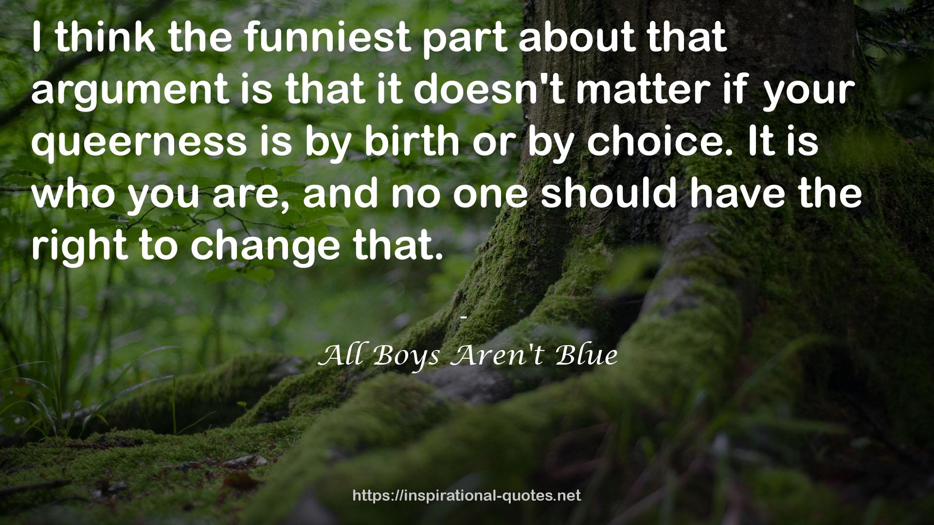 All Boys Aren't Blue QUOTES