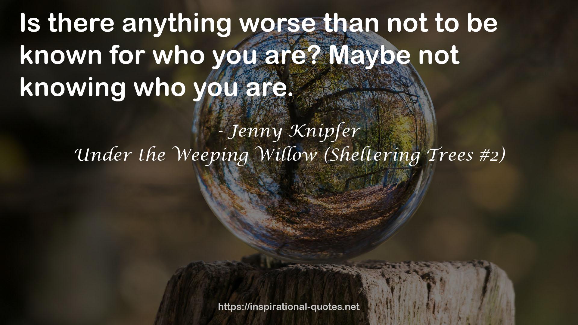 Jenny Knipfer QUOTES