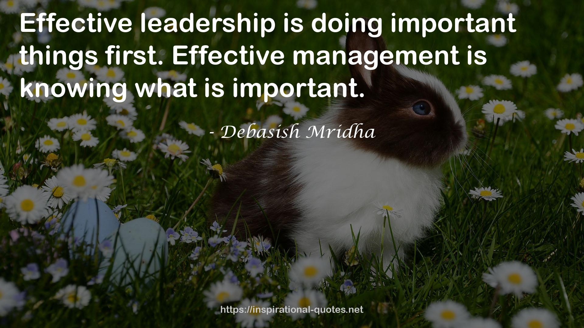 Effective management  QUOTES