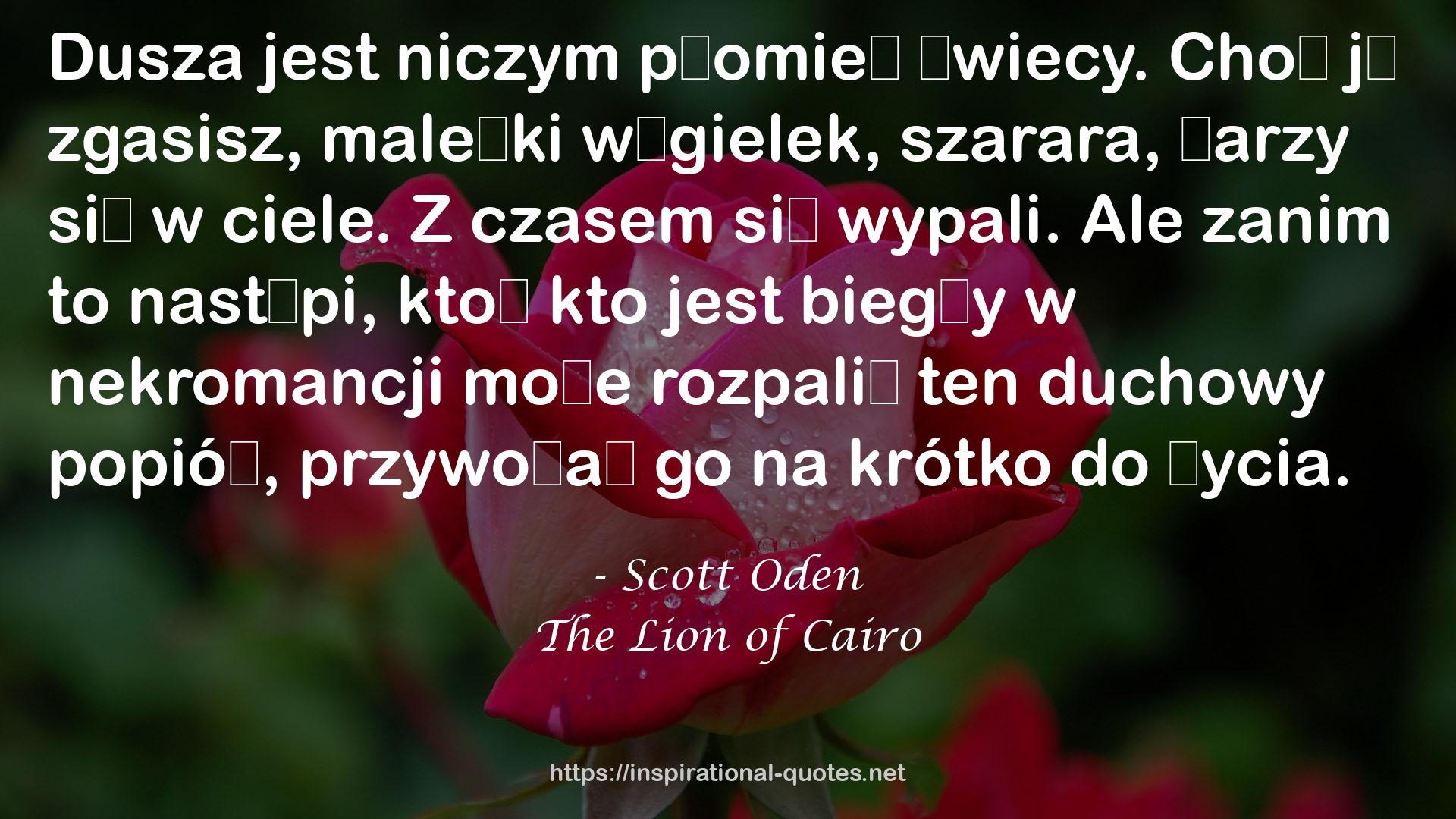 The Lion of Cairo QUOTES