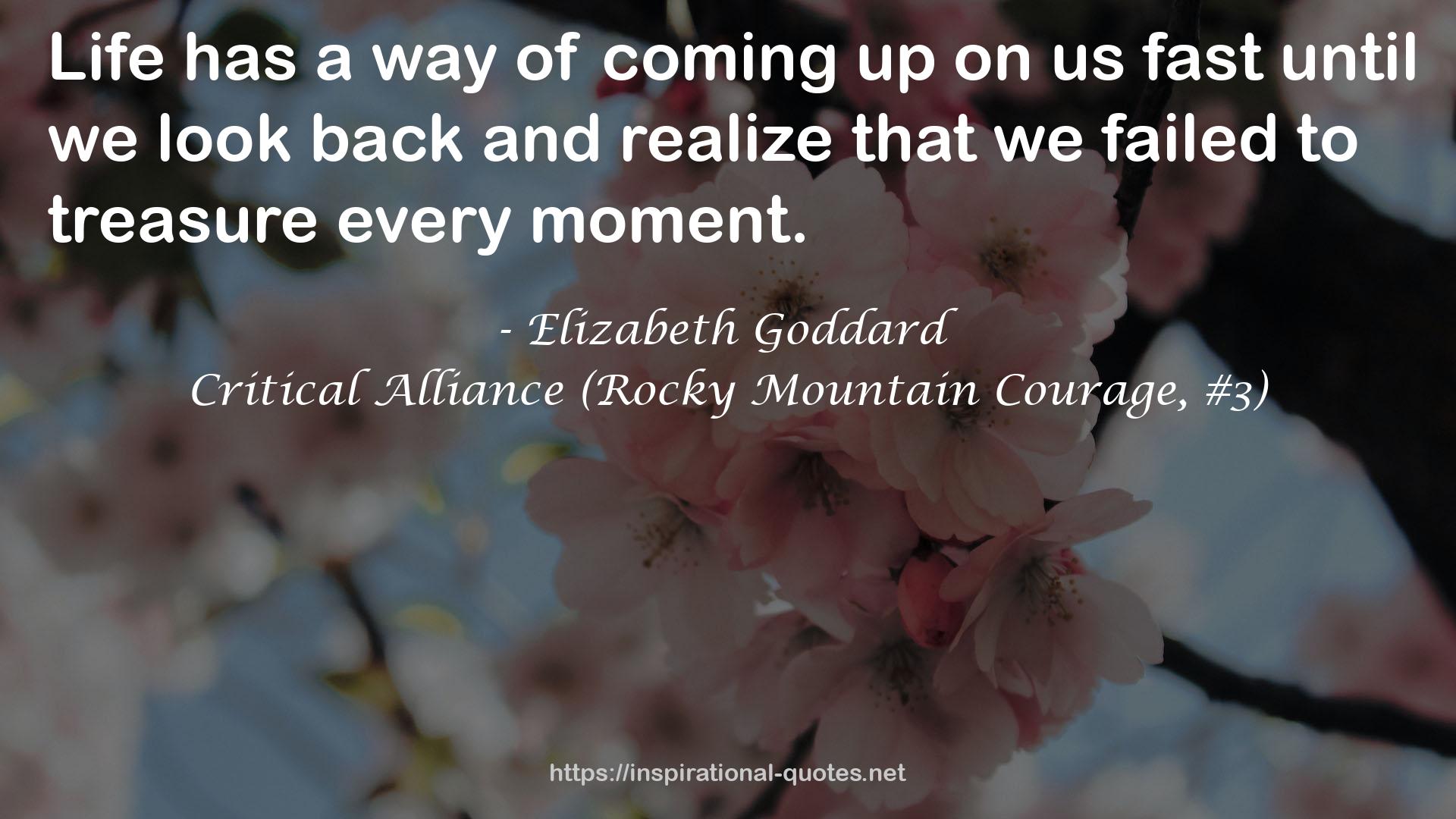 Critical Alliance (Rocky Mountain Courage, #3) QUOTES
