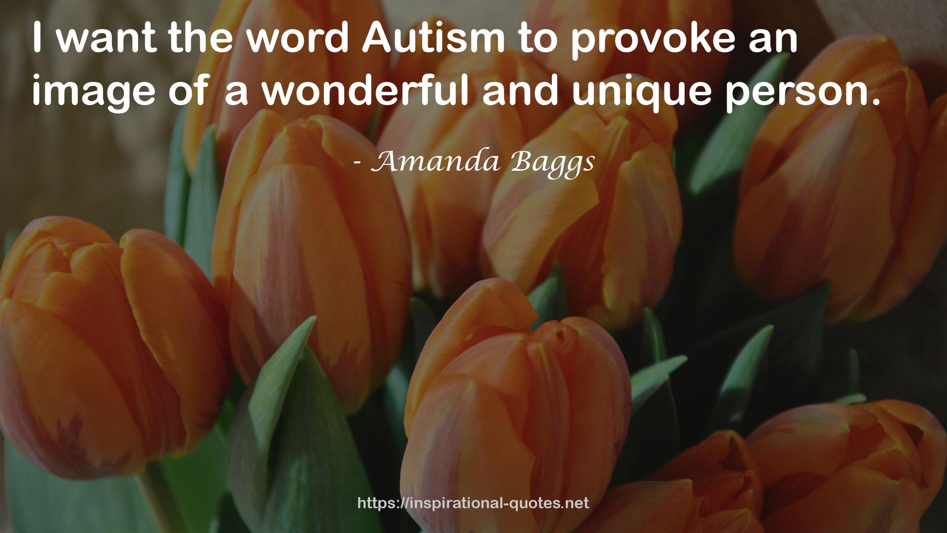 Amanda Baggs QUOTES