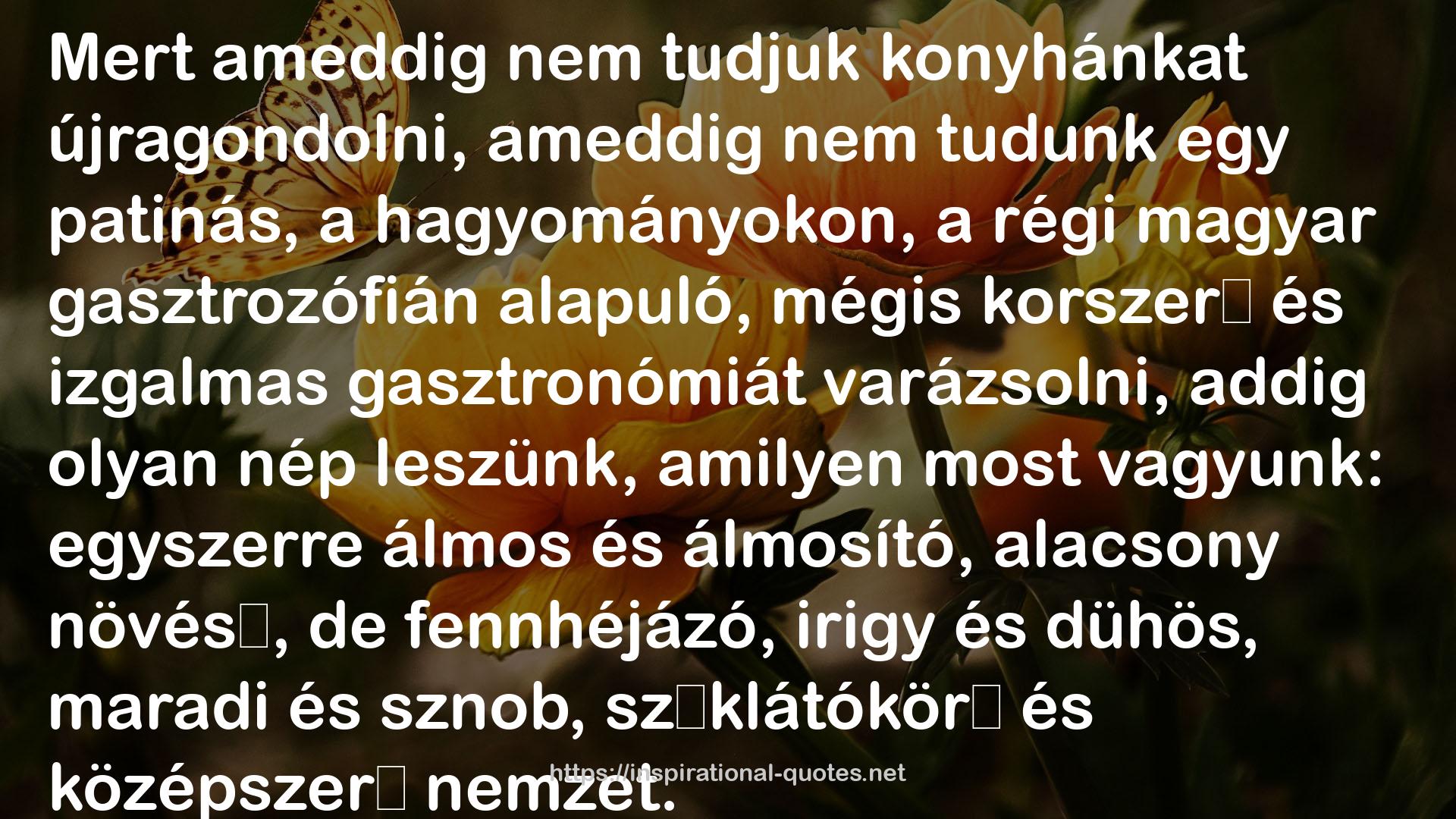 András Cserna-Szabó QUOTES