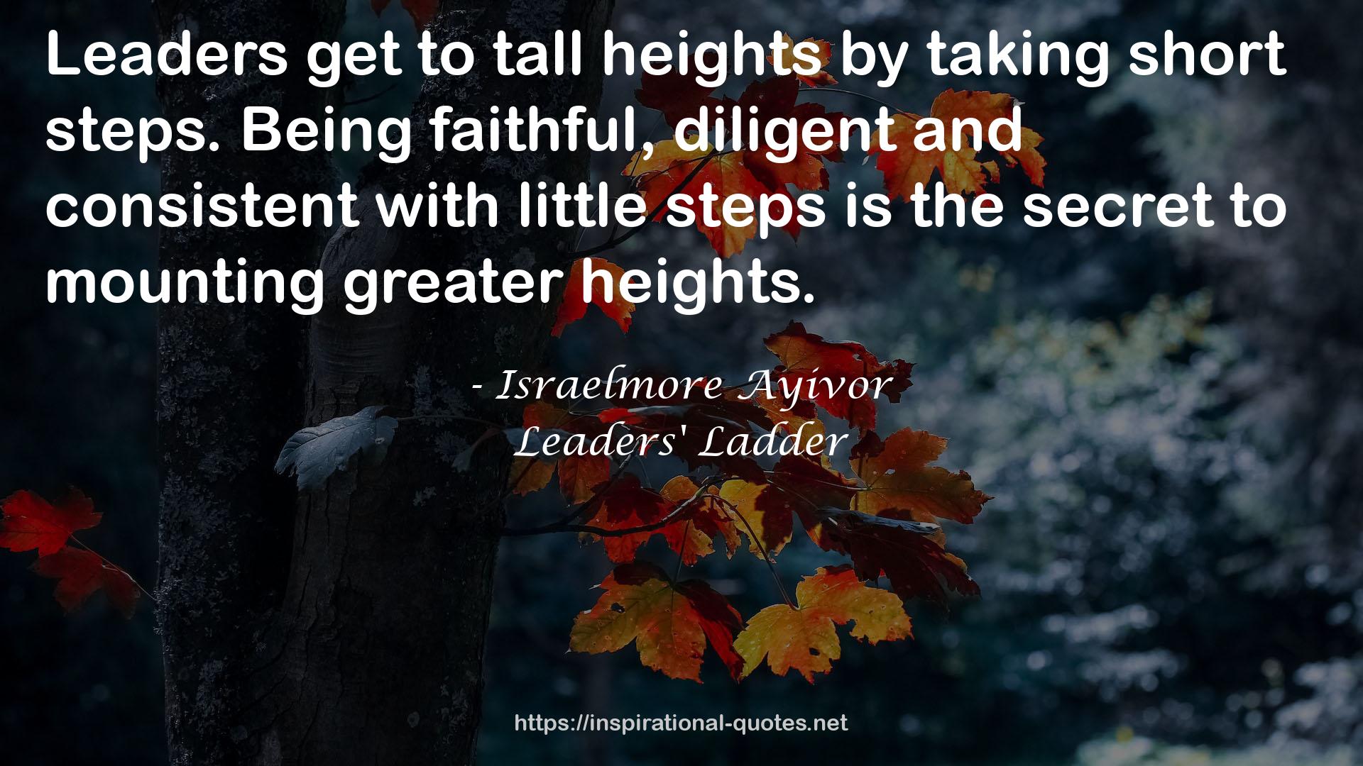 tall heights  QUOTES