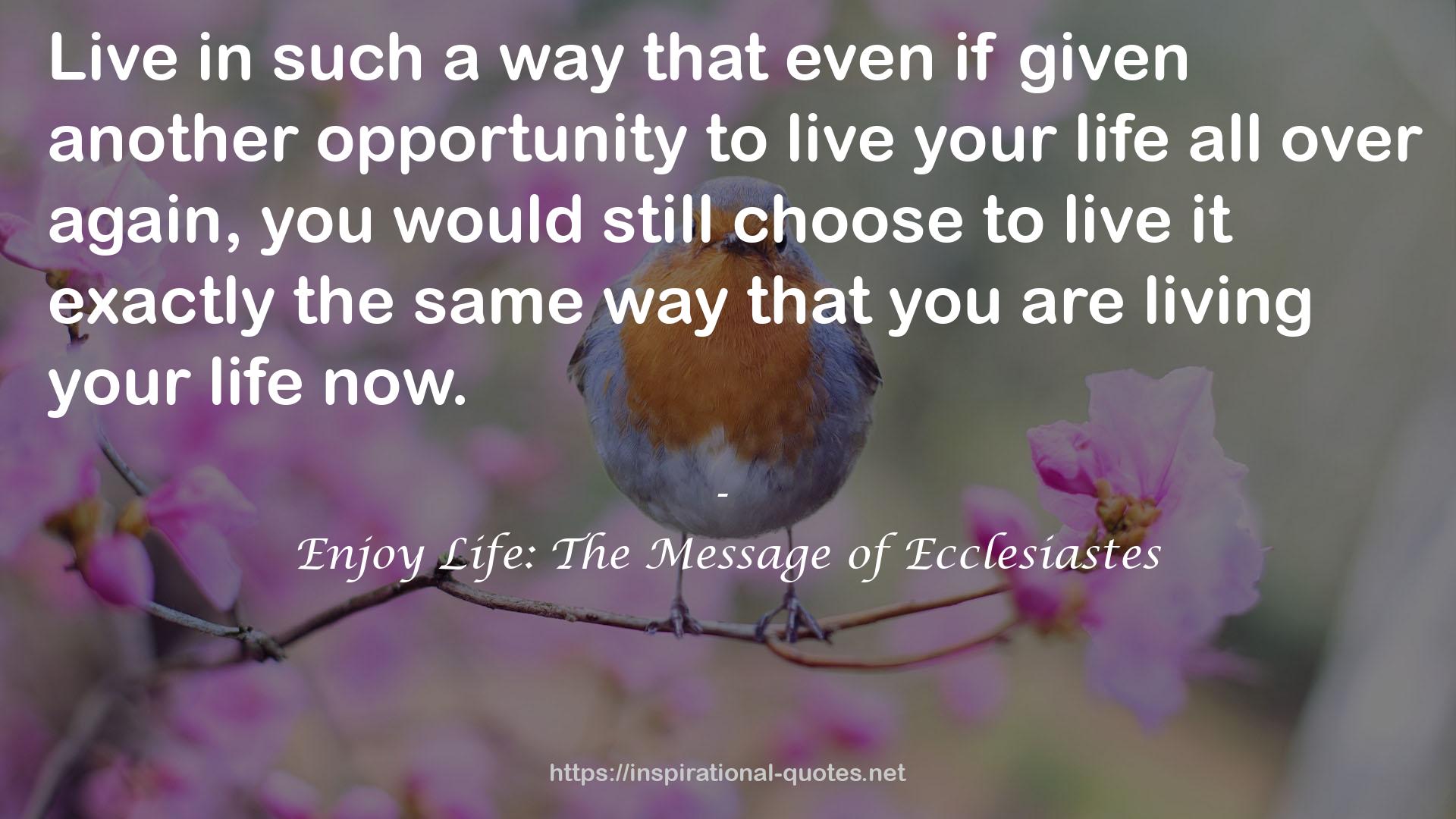 Enjoy Life: The Message of Ecclesiastes QUOTES