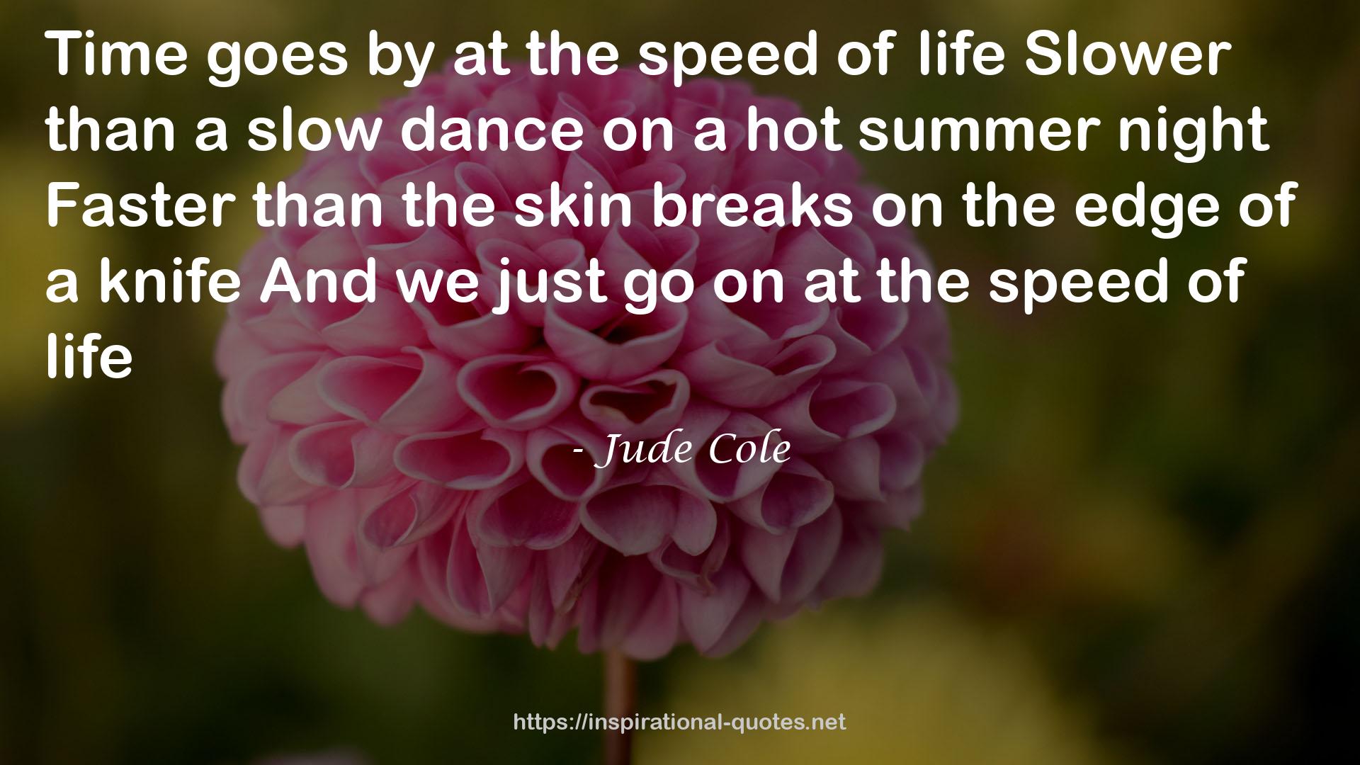 Jude Cole QUOTES