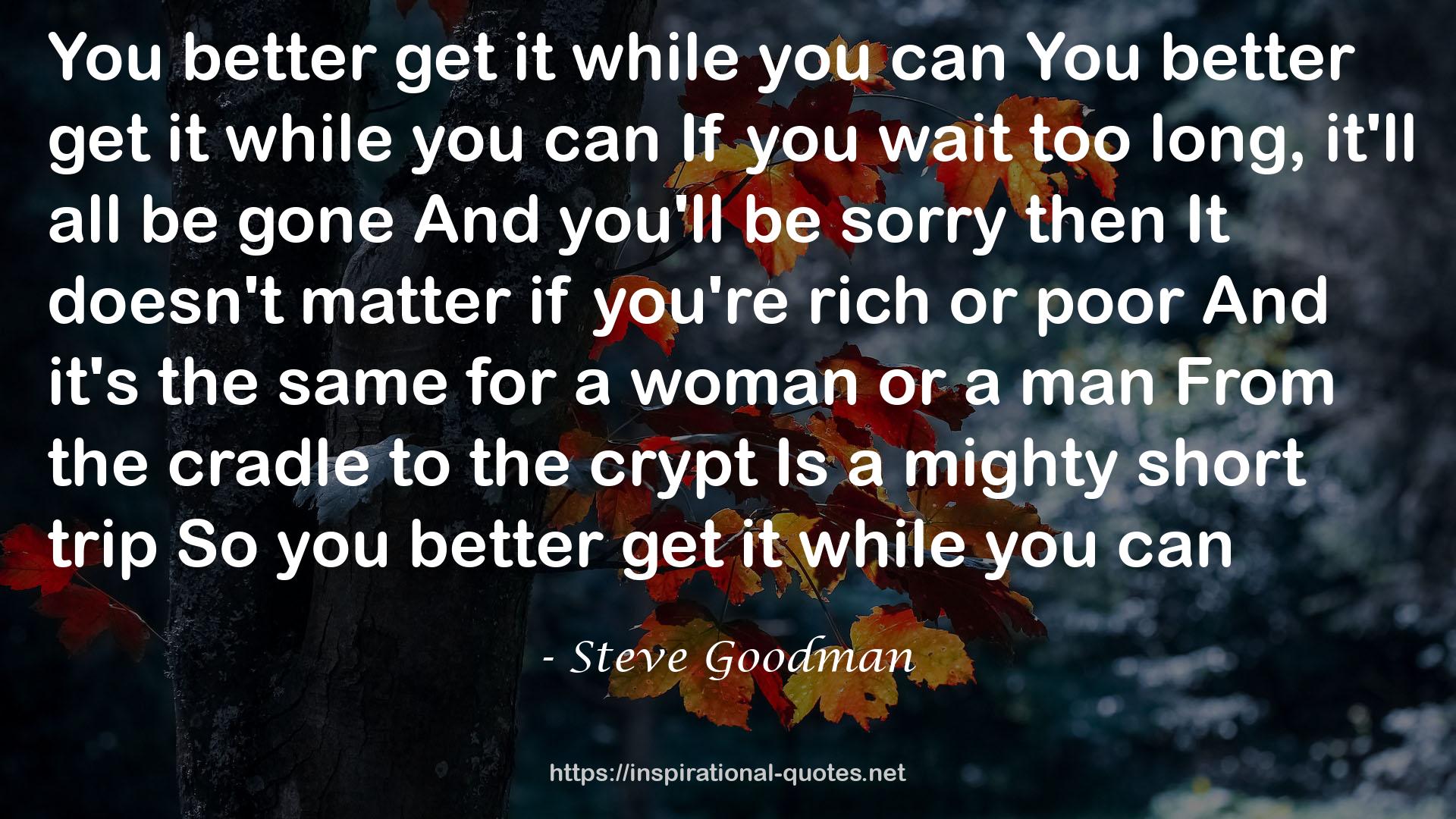 Steve Goodman QUOTES