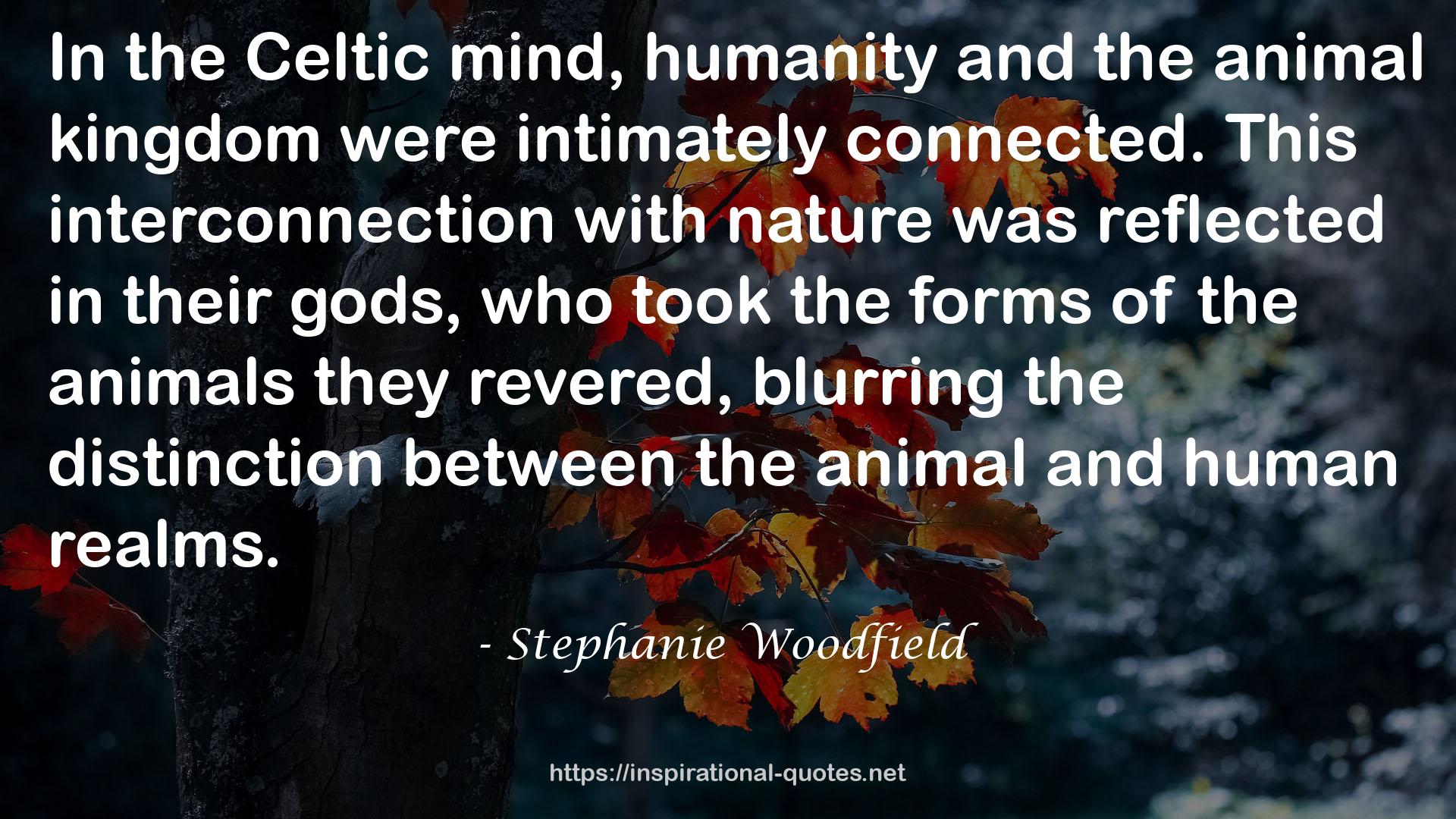 Stephanie Woodfield QUOTES