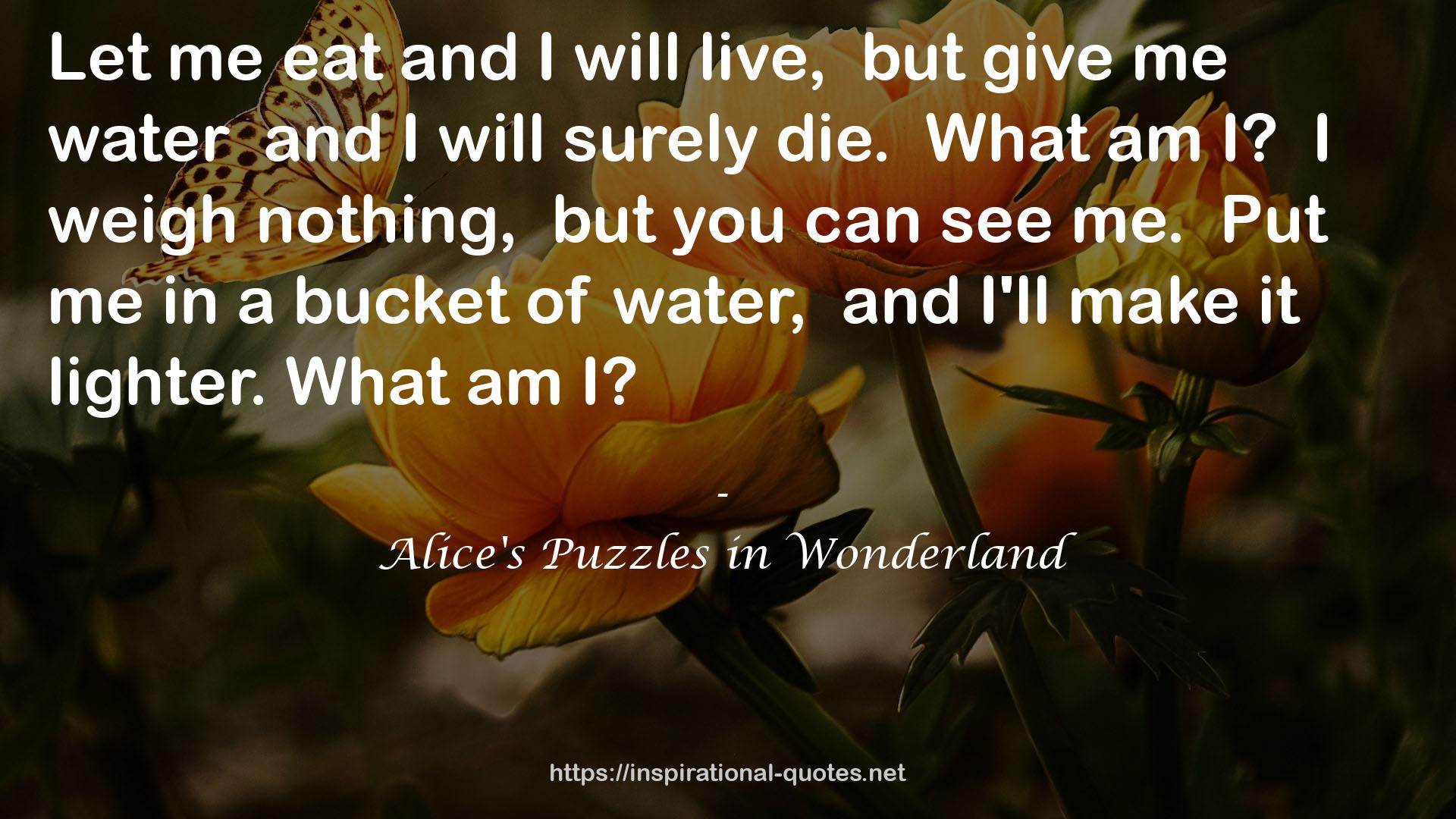 Alice's Puzzles in Wonderland QUOTES