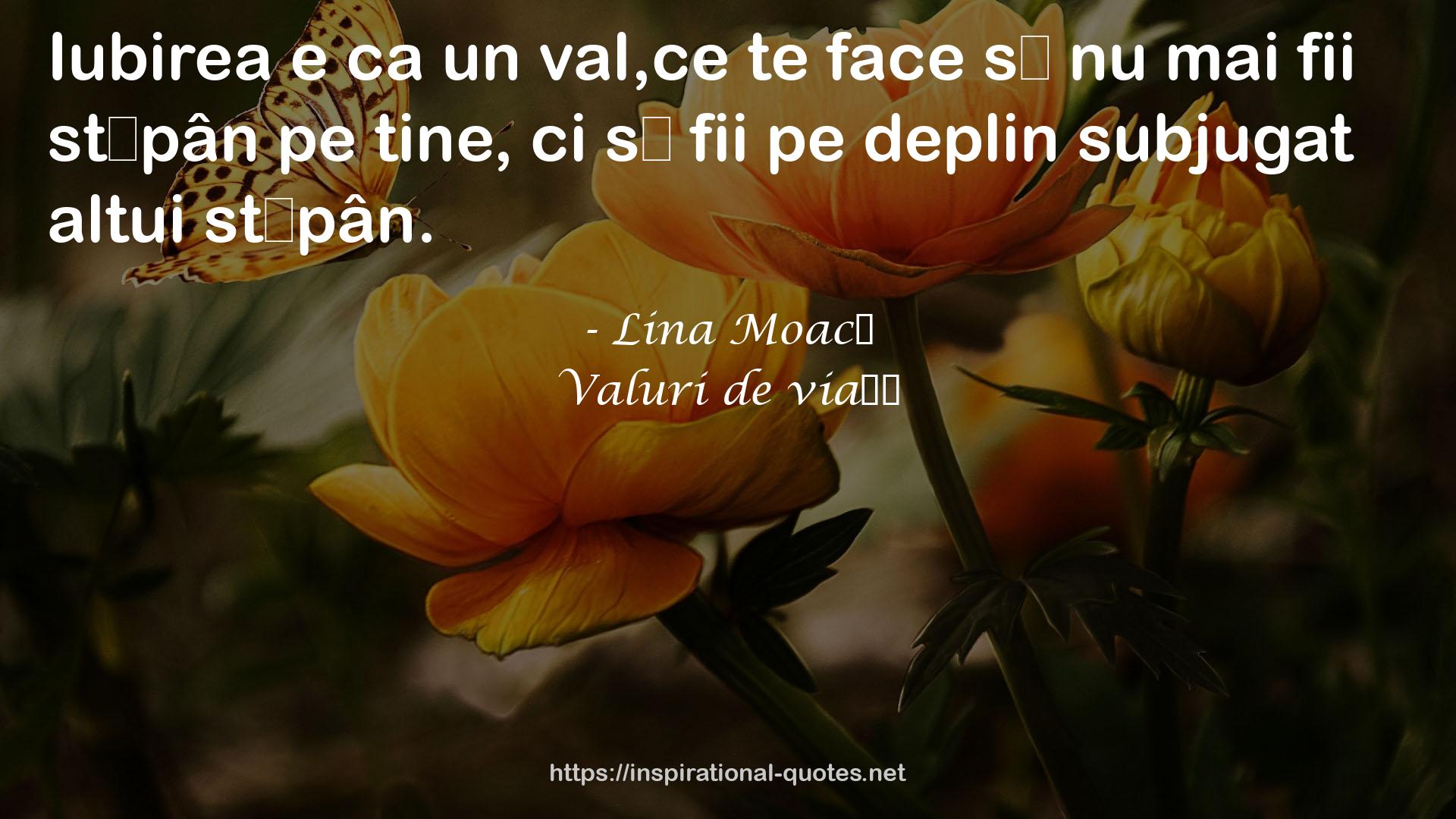 Lina Moacă QUOTES