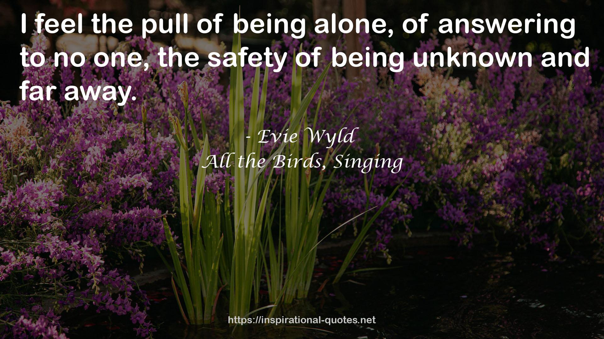 Evie Wyld QUOTES