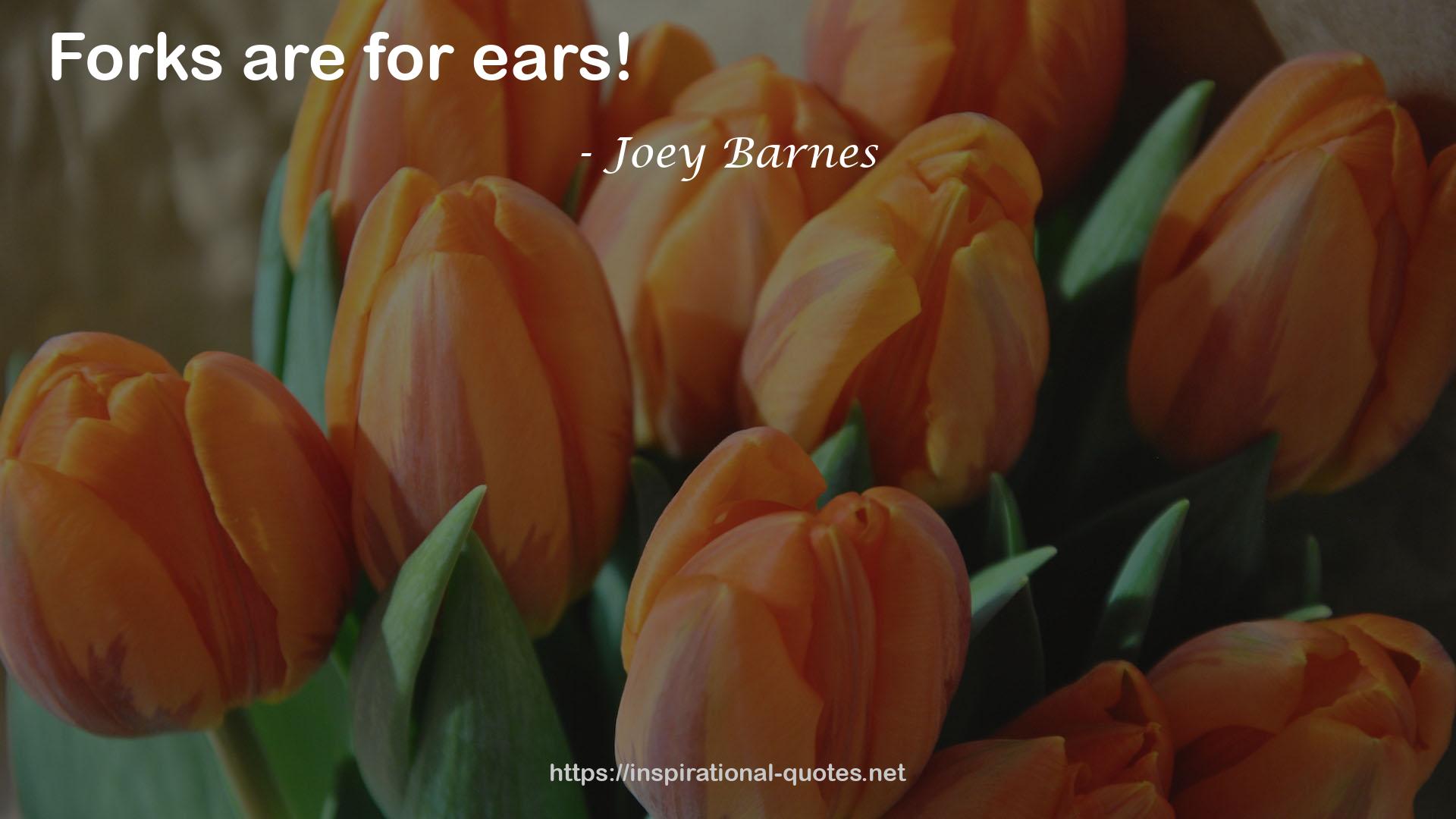 Joey Barnes QUOTES