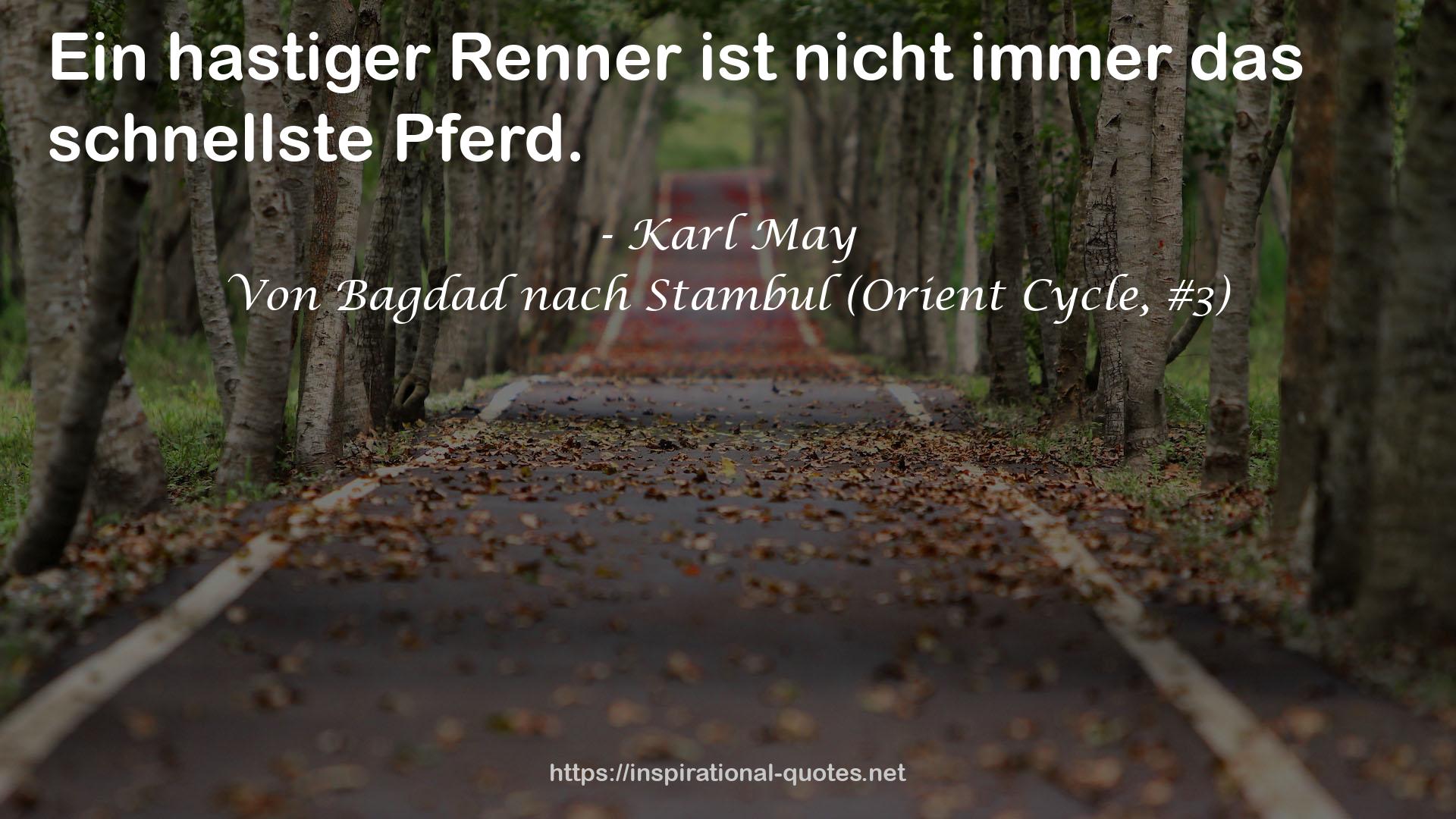 Von Bagdad nach Stambul (Orient Cycle, #3) QUOTES