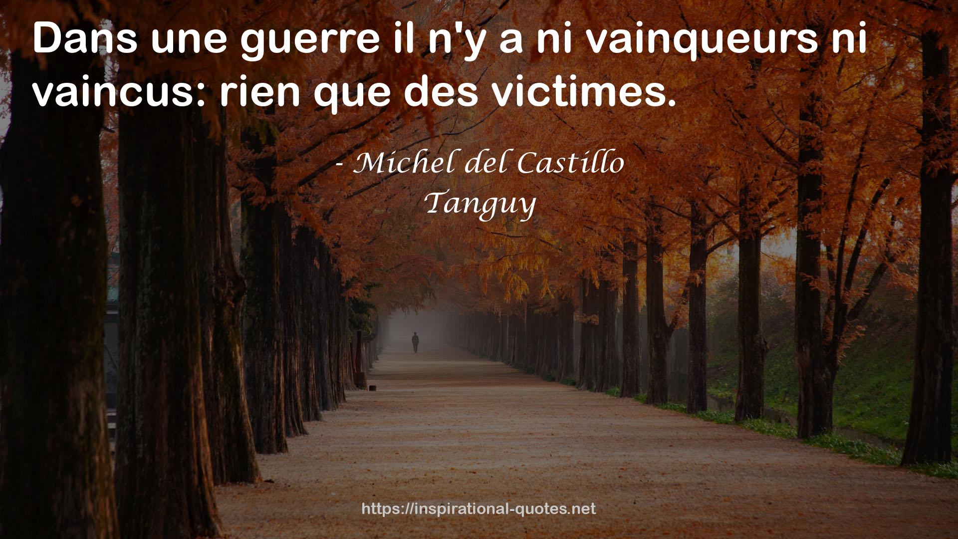 Michel del Castillo QUOTES