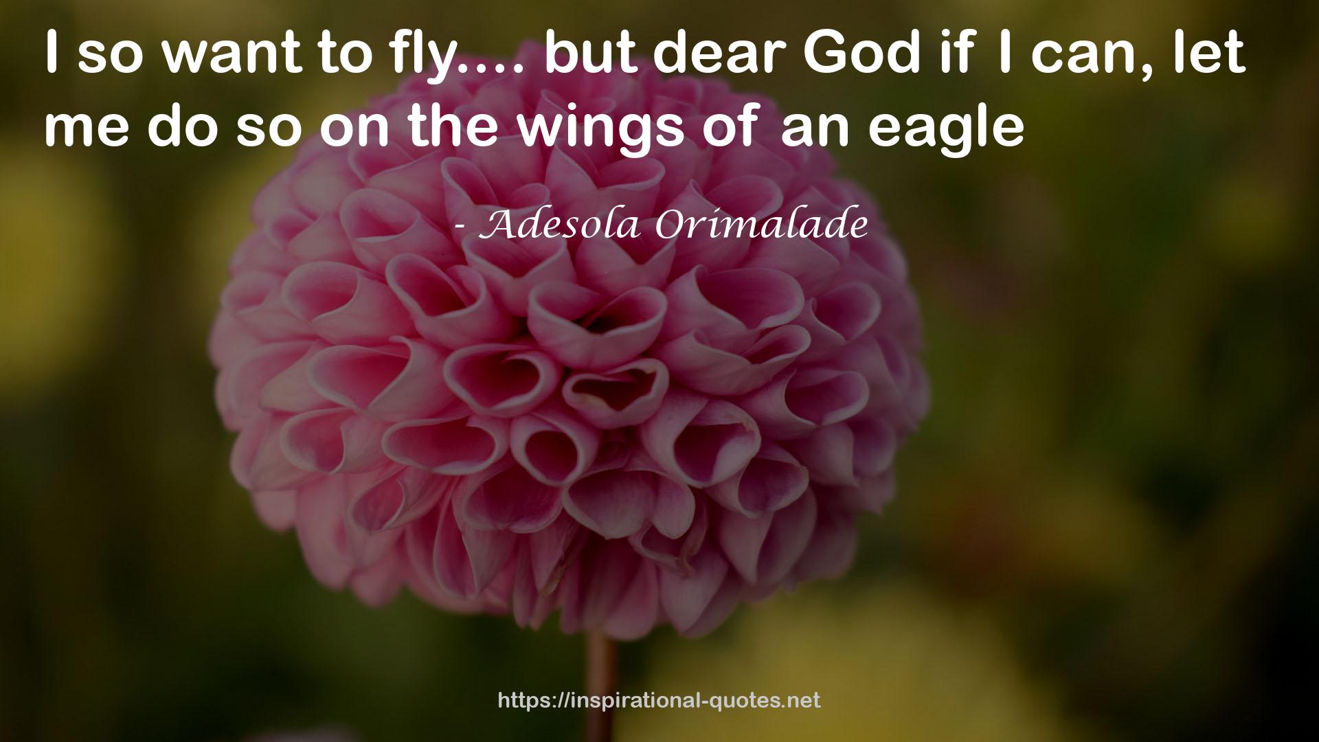 Adesola Orimalade QUOTES