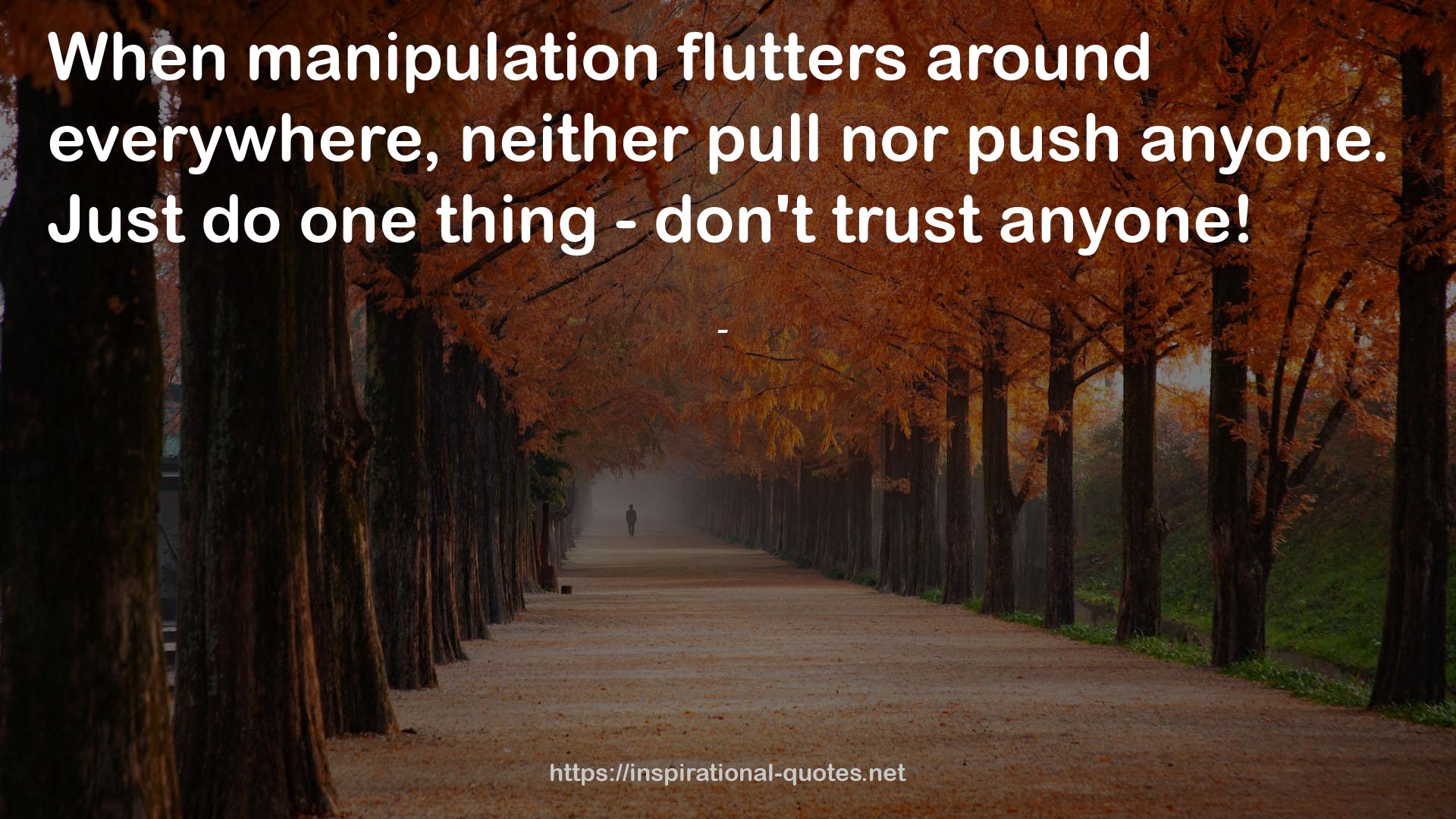 manipulation flutters  QUOTES