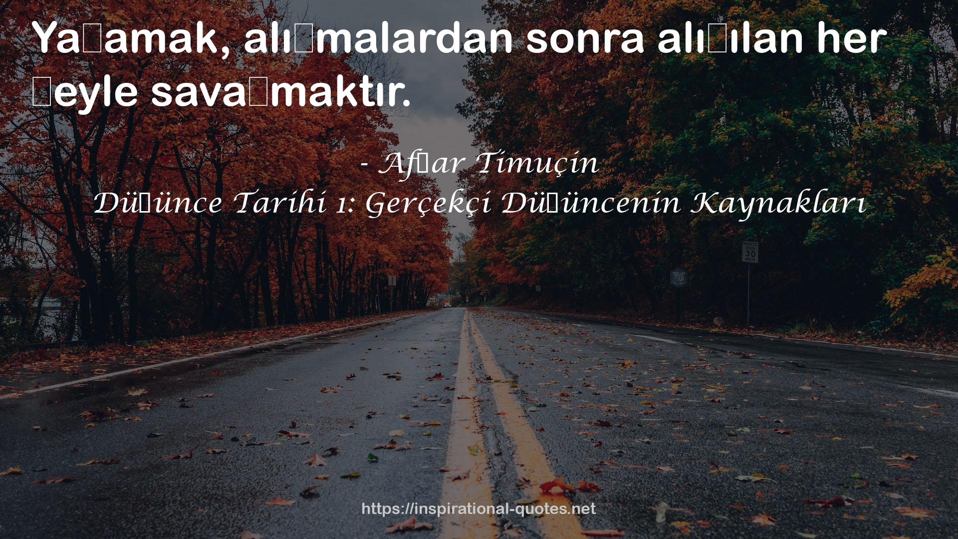 Afşar Timuçin QUOTES