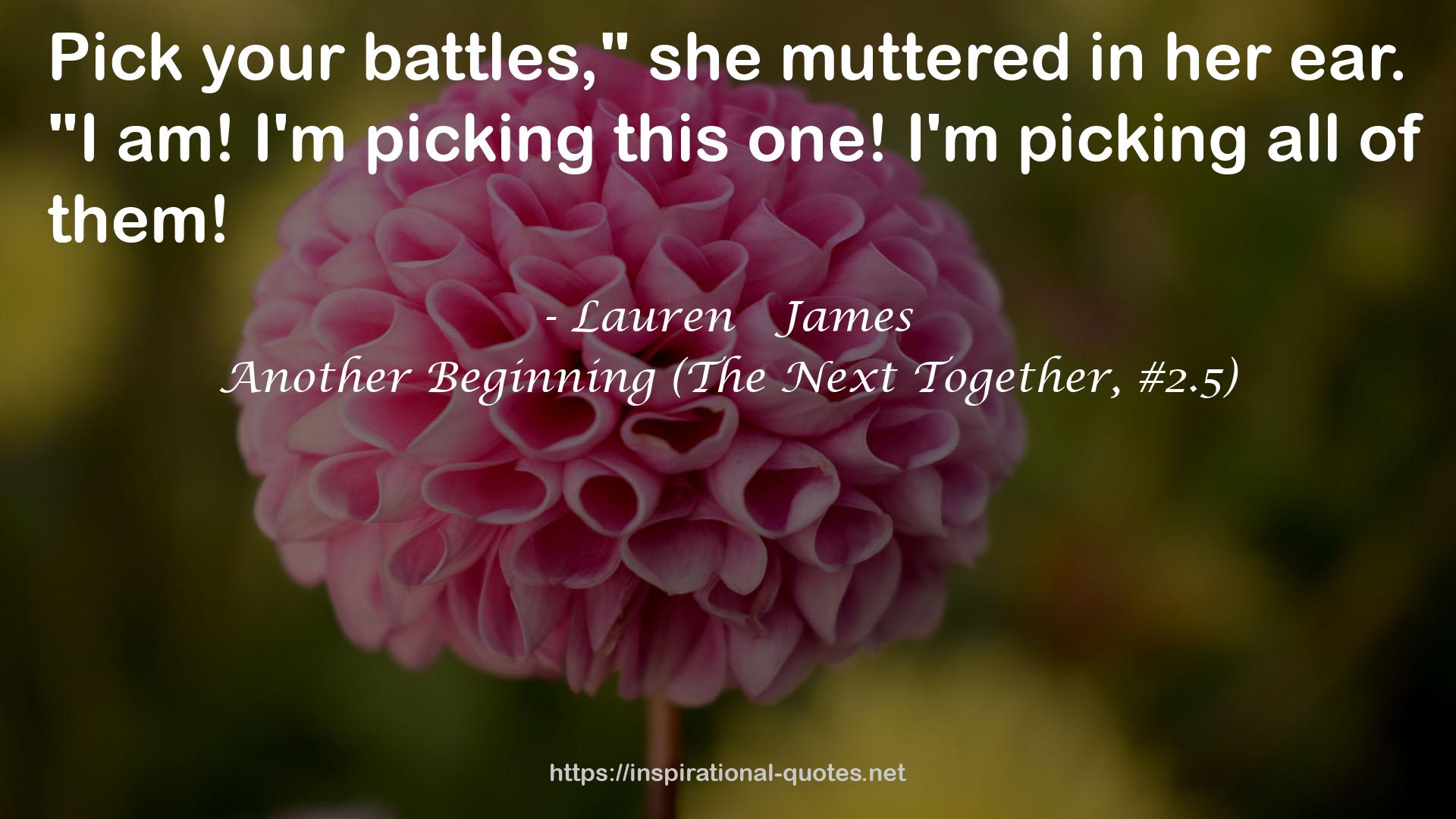 Another Beginning (The Next Together, #2.5) QUOTES