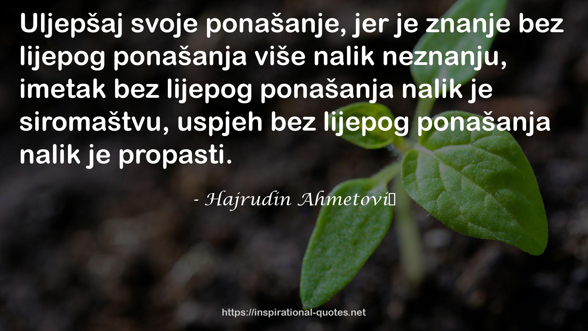 Hajrudin Ahmetović QUOTES