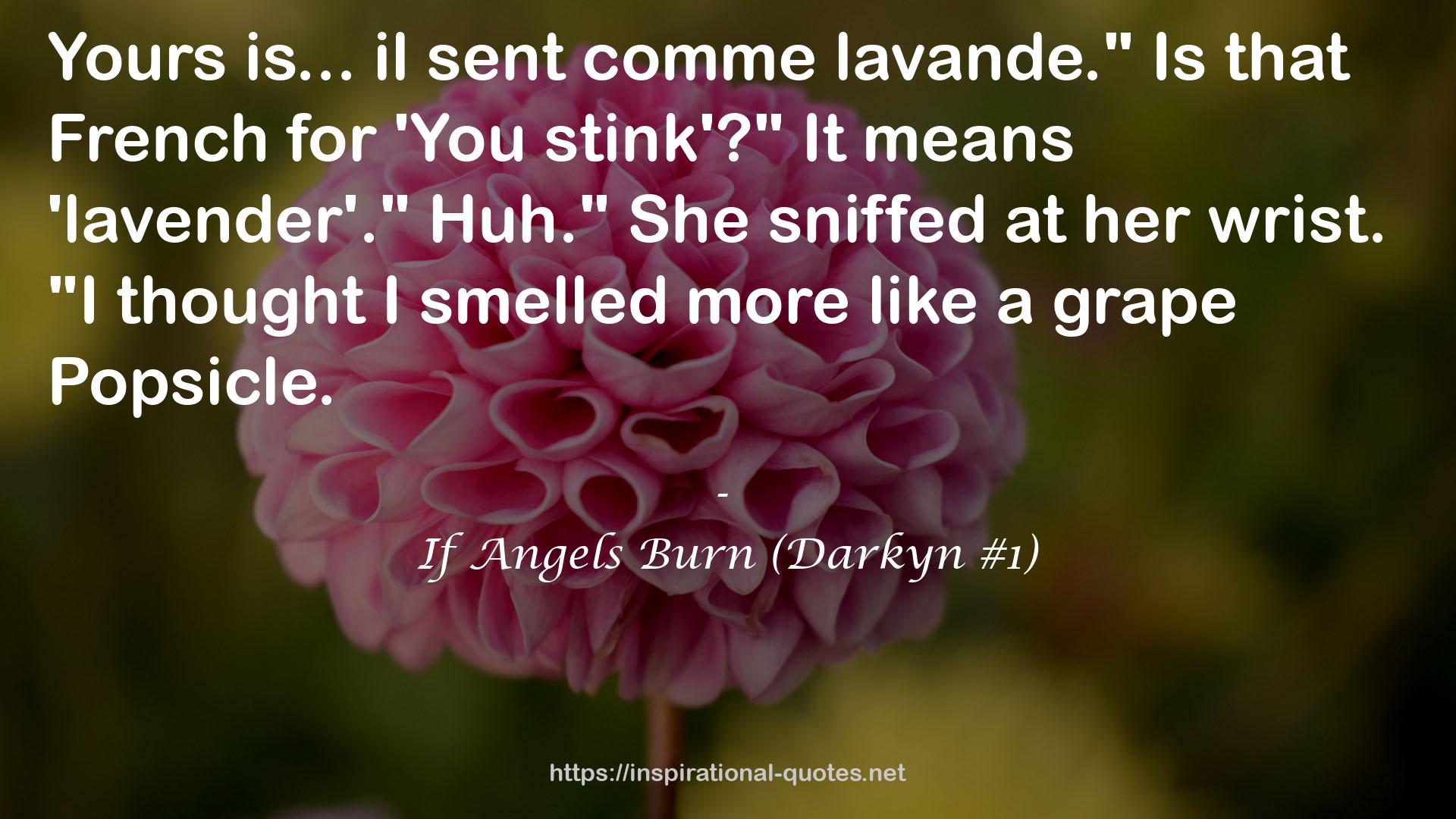 If Angels Burn (Darkyn #1) QUOTES