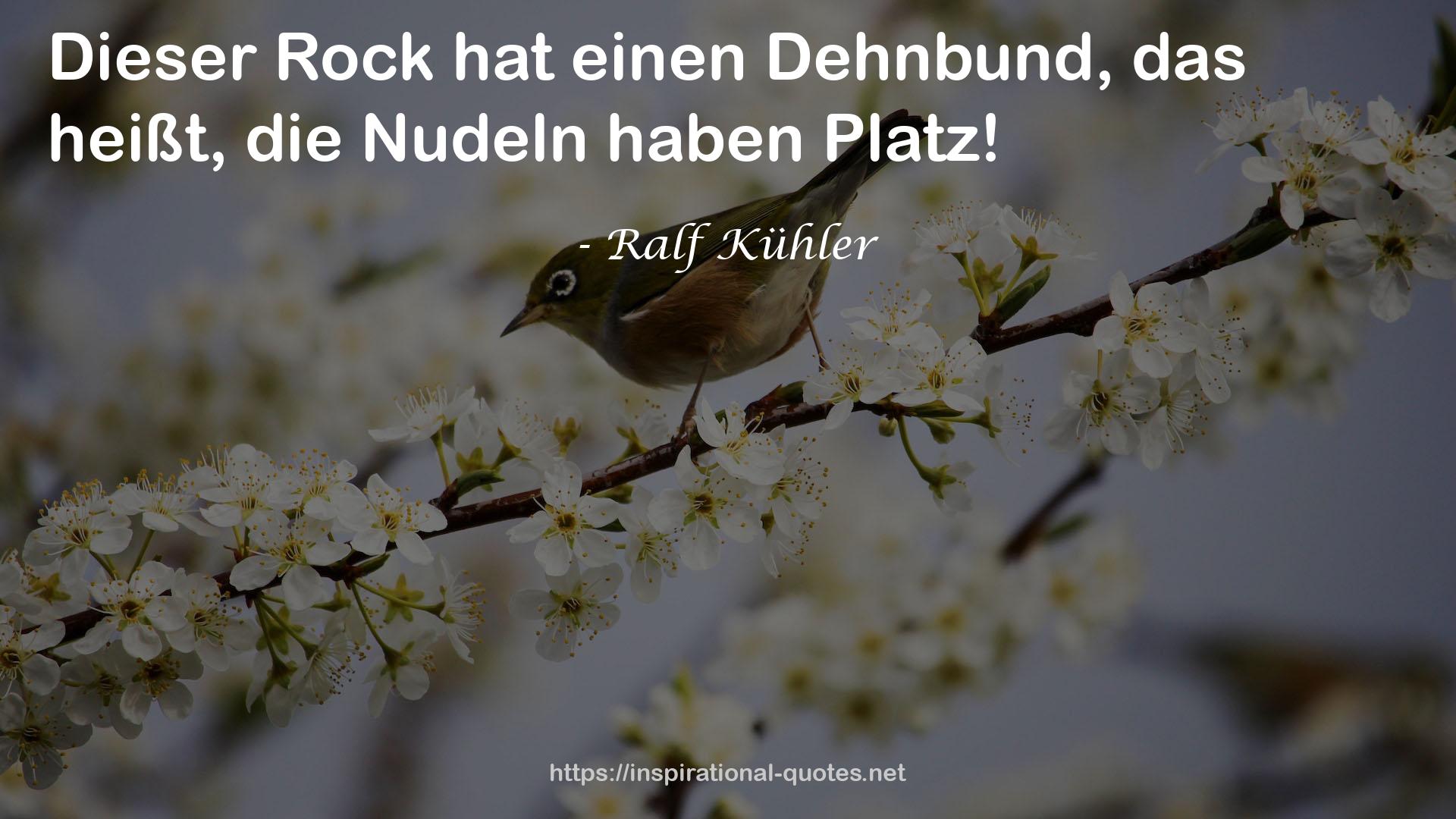 Ralf Kühler QUOTES