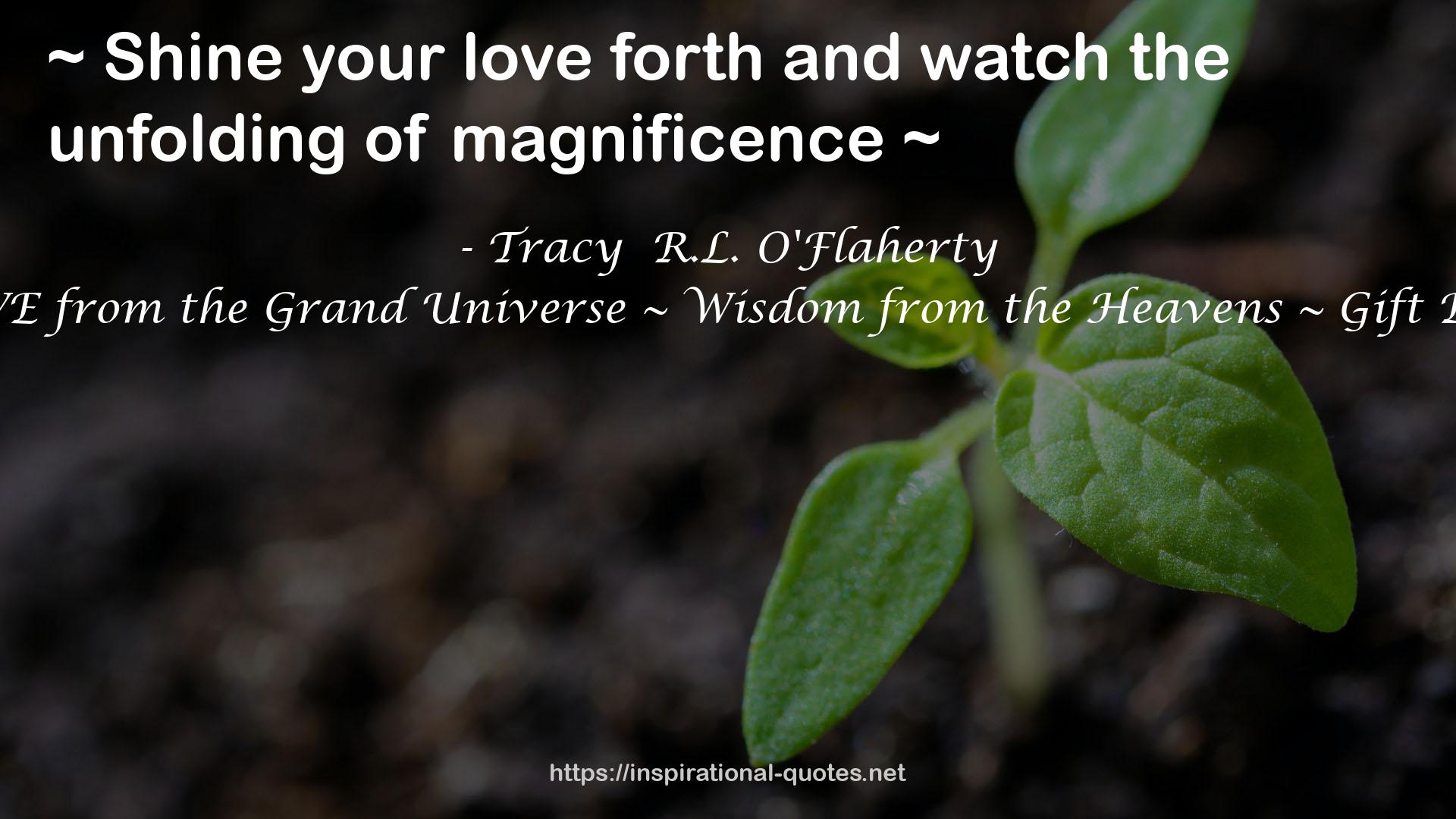 LOVE from the Grand Universe ~ Wisdom from the Heavens ~ Gift Book QUOTES