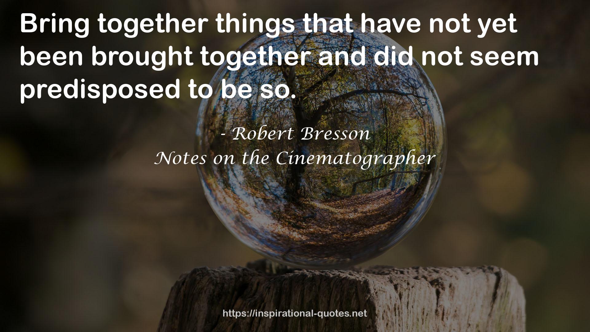 Robert Bresson QUOTES