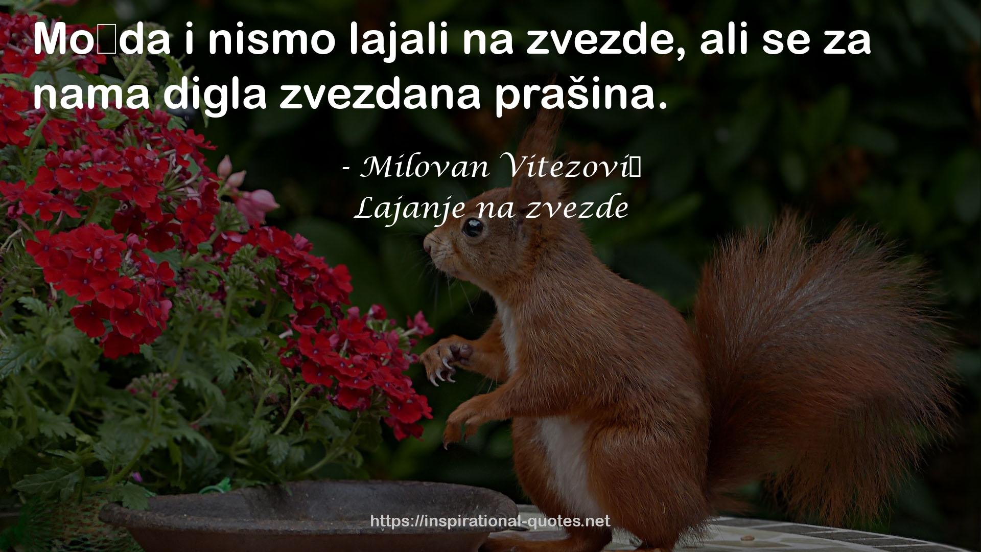 Milovan Vitezović QUOTES