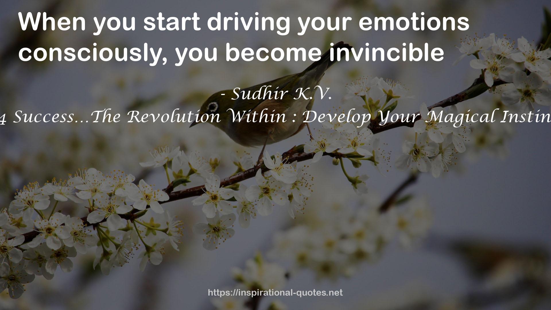 B4 Success…The Revolution Within : Develop Your Magical Instinct QUOTES