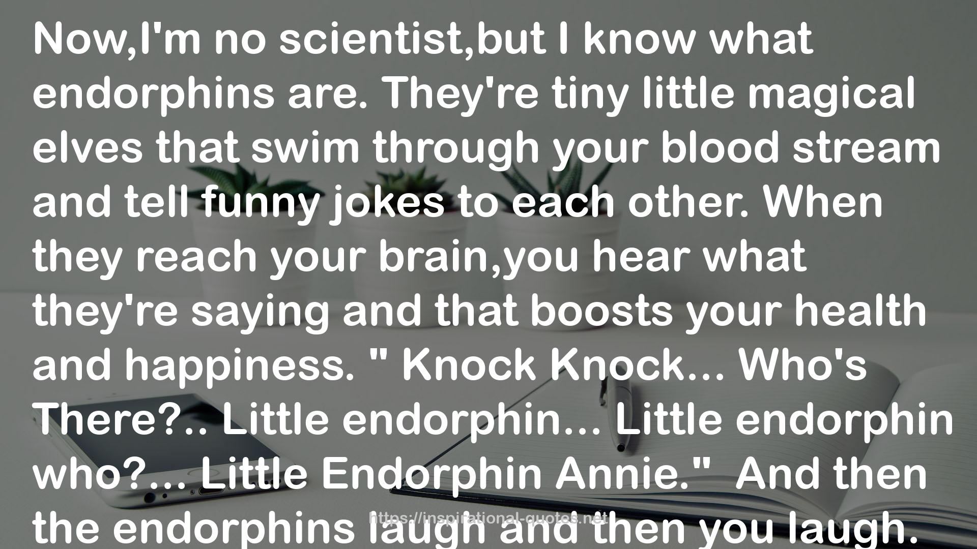 the endorphins  QUOTES