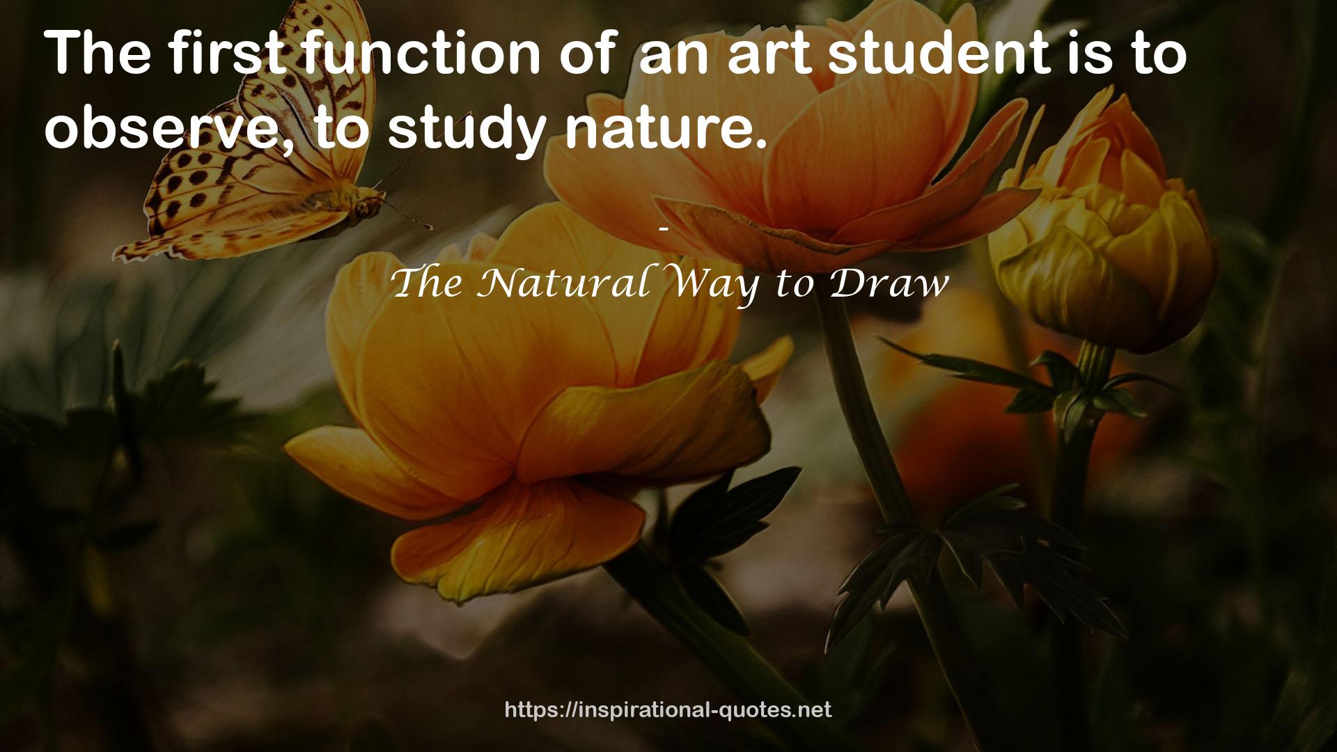 The Natural Way to Draw QUOTES
