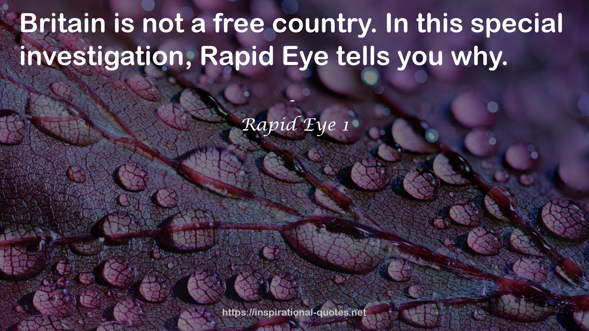 Rapid Eye 1 QUOTES