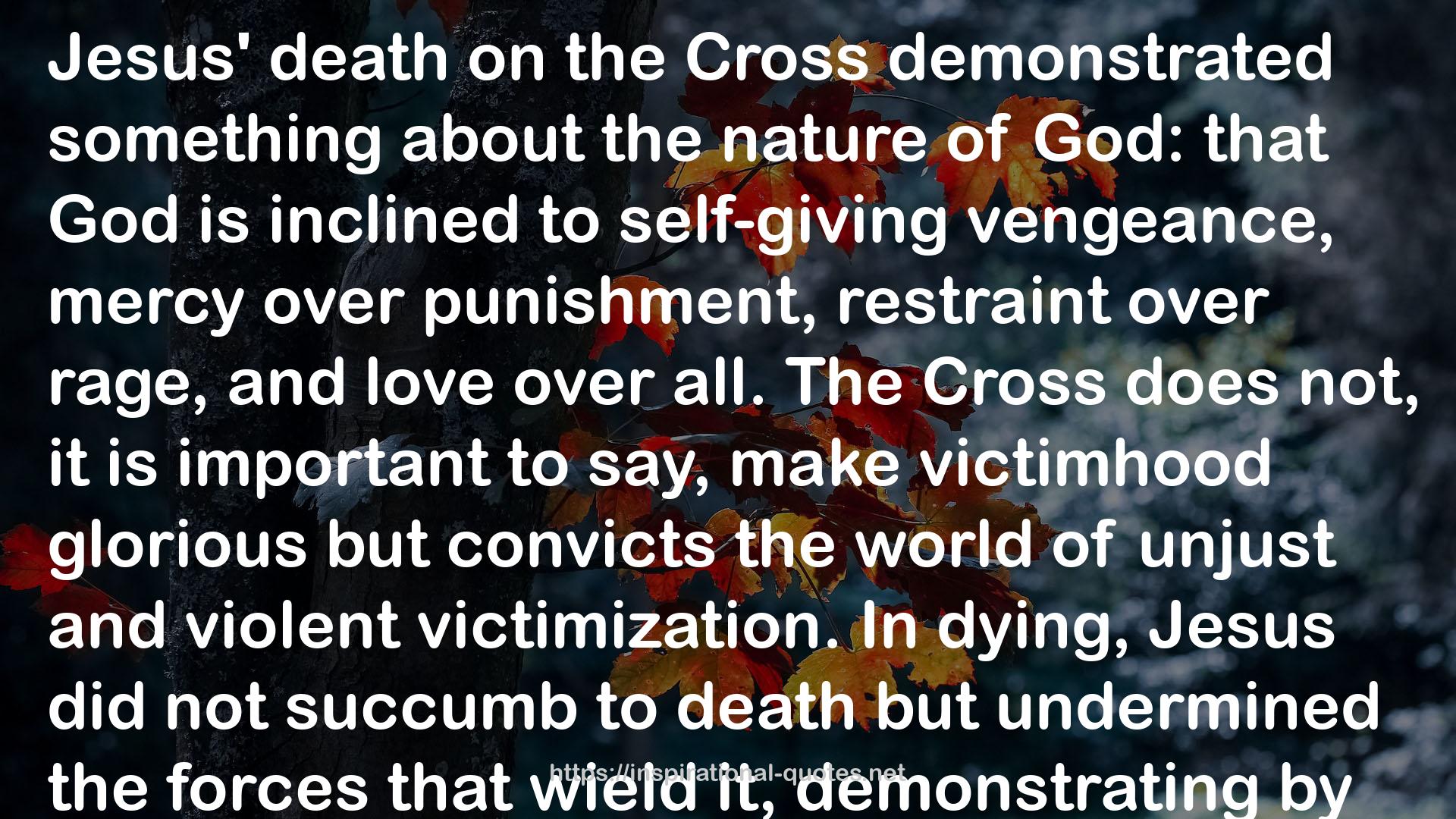 Whom Shall I Fear?: Urgent Questions for Christians in an Age of Violence QUOTES