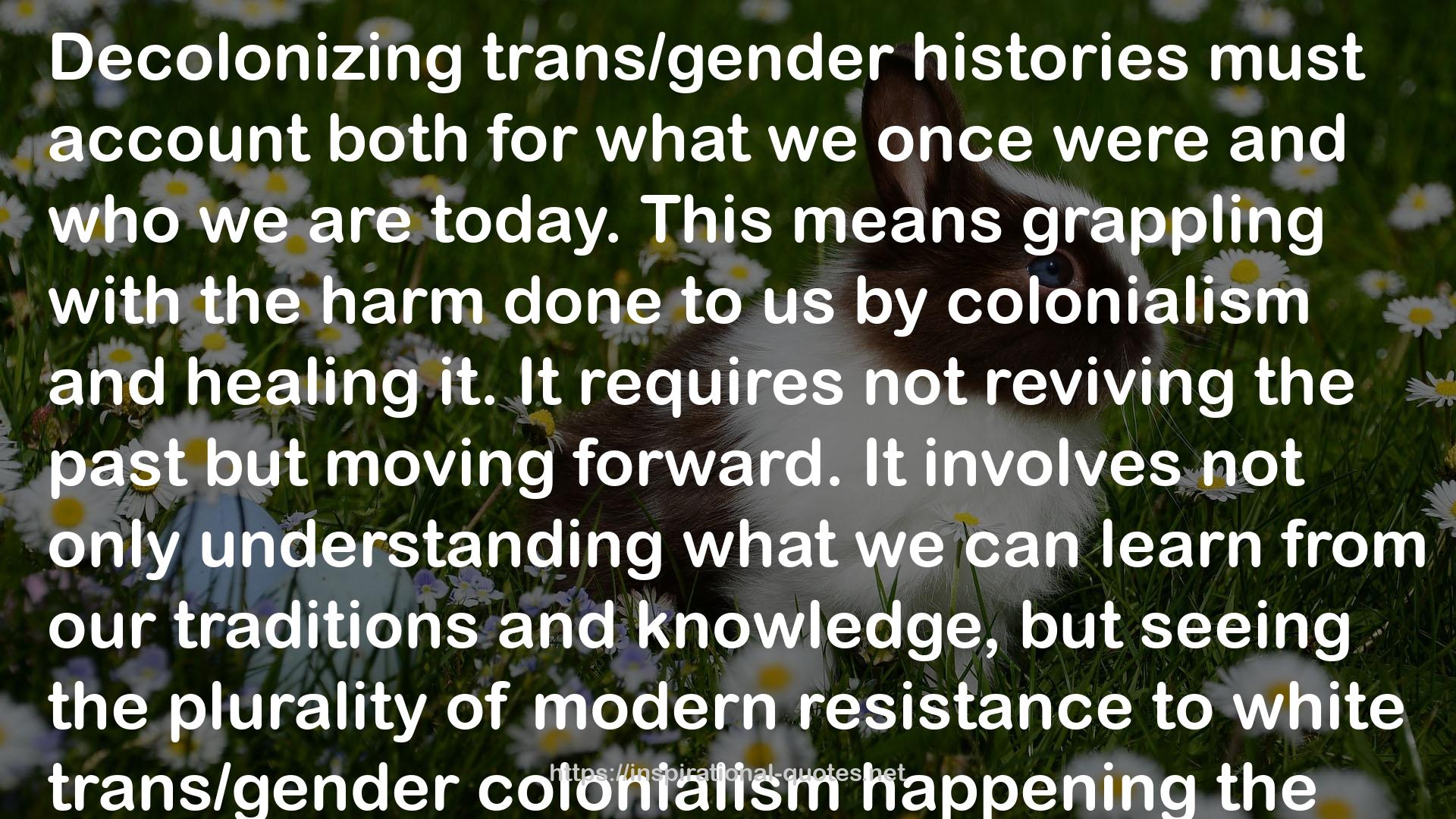 Decolonizing Trans/Gender 101 QUOTES