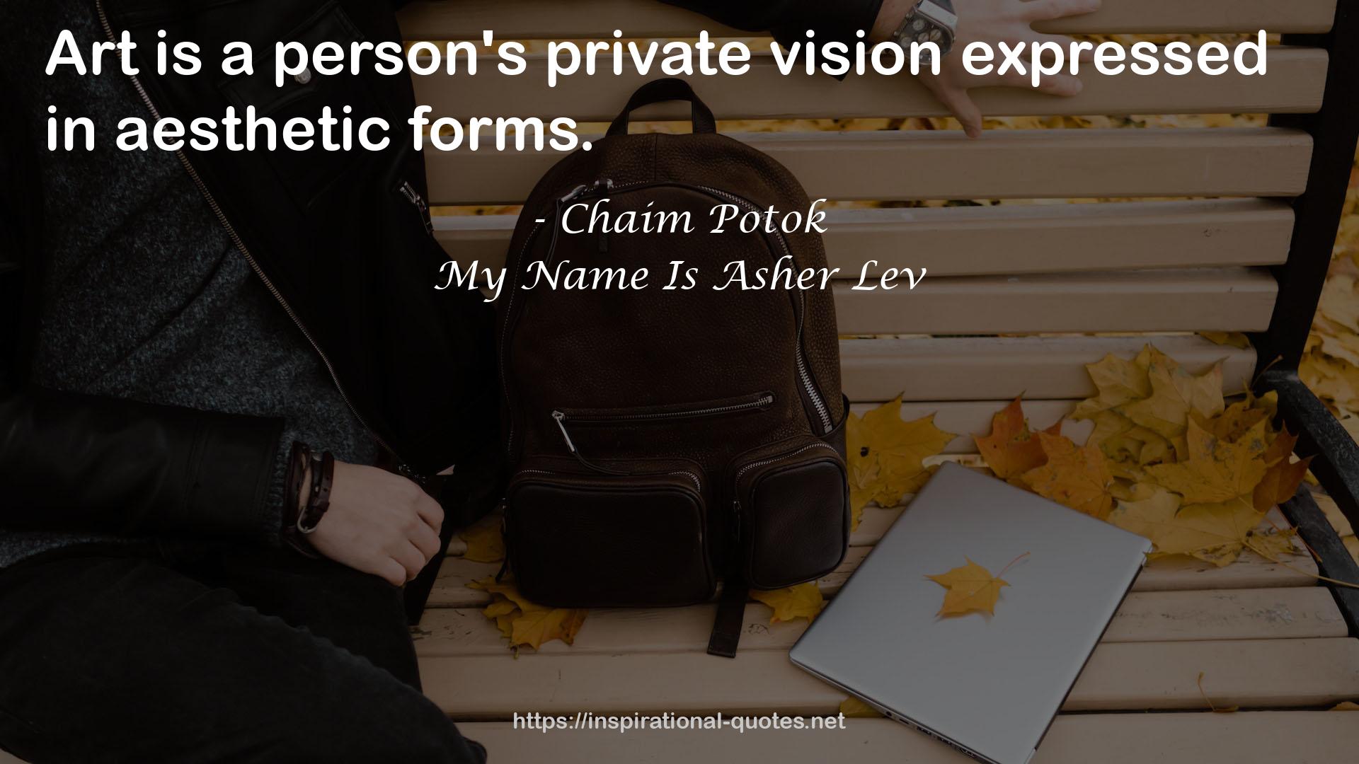 a person's private vision  QUOTES