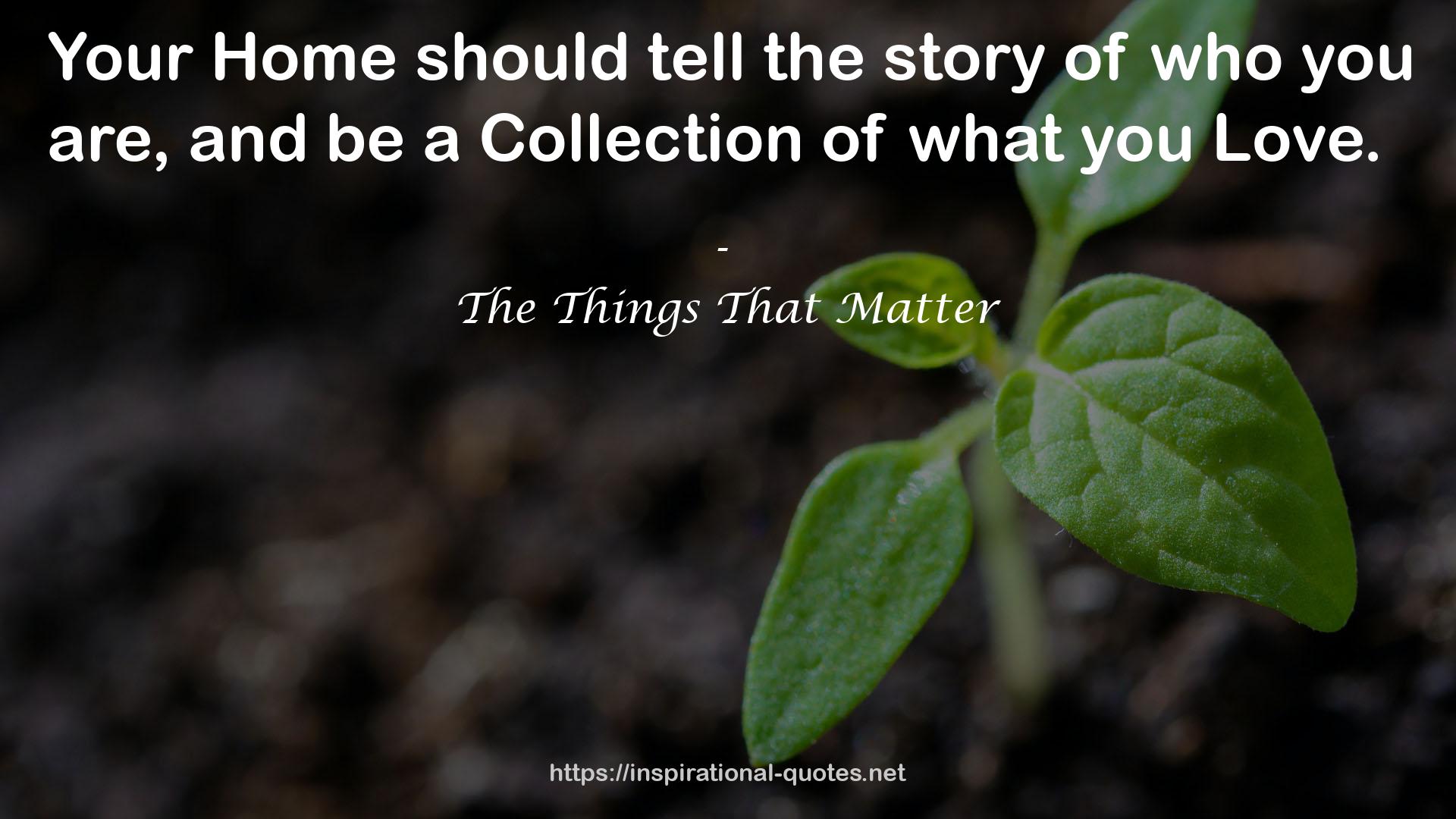 The Things That Matter QUOTES