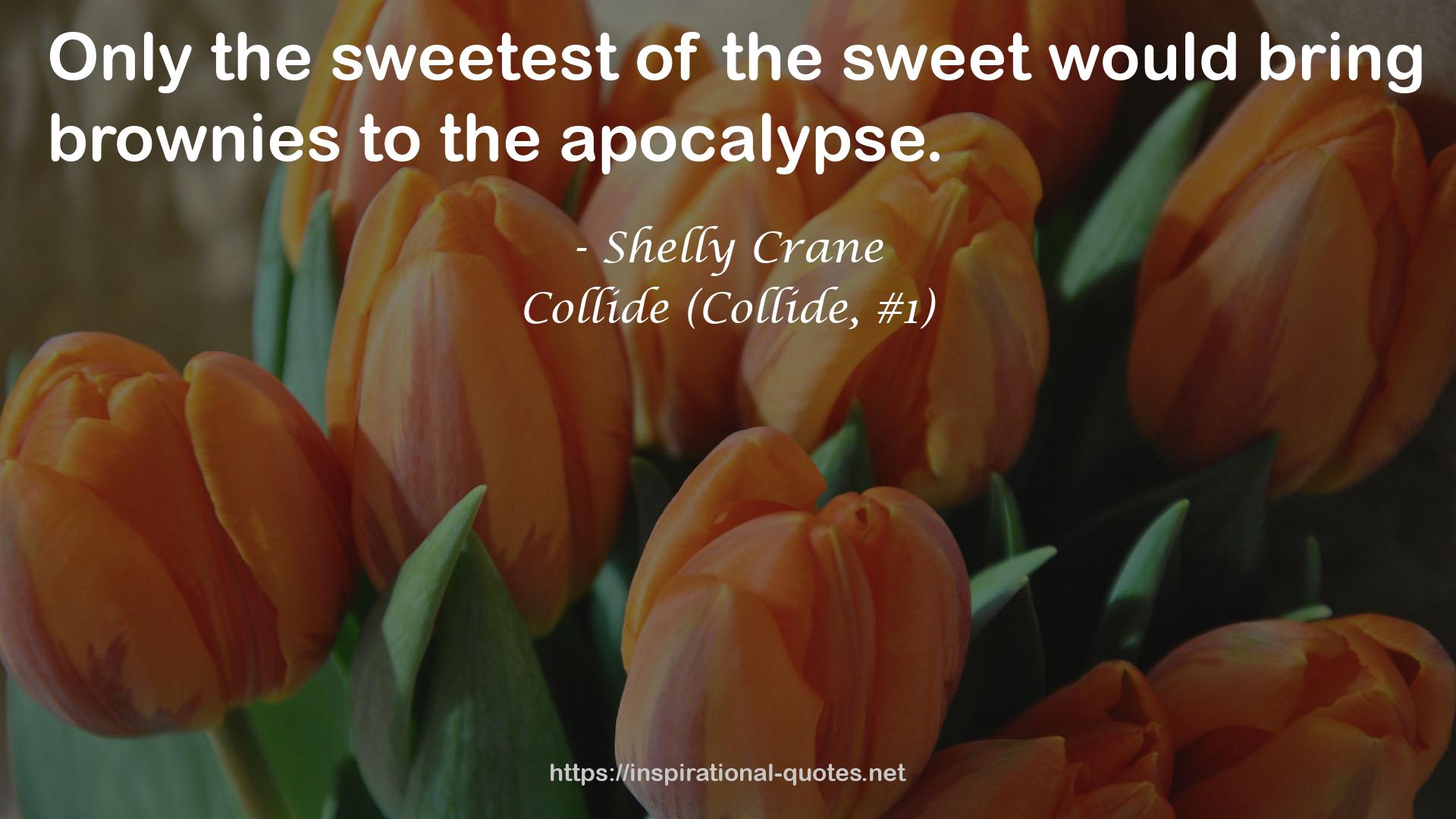 Collide (Collide, #1) QUOTES