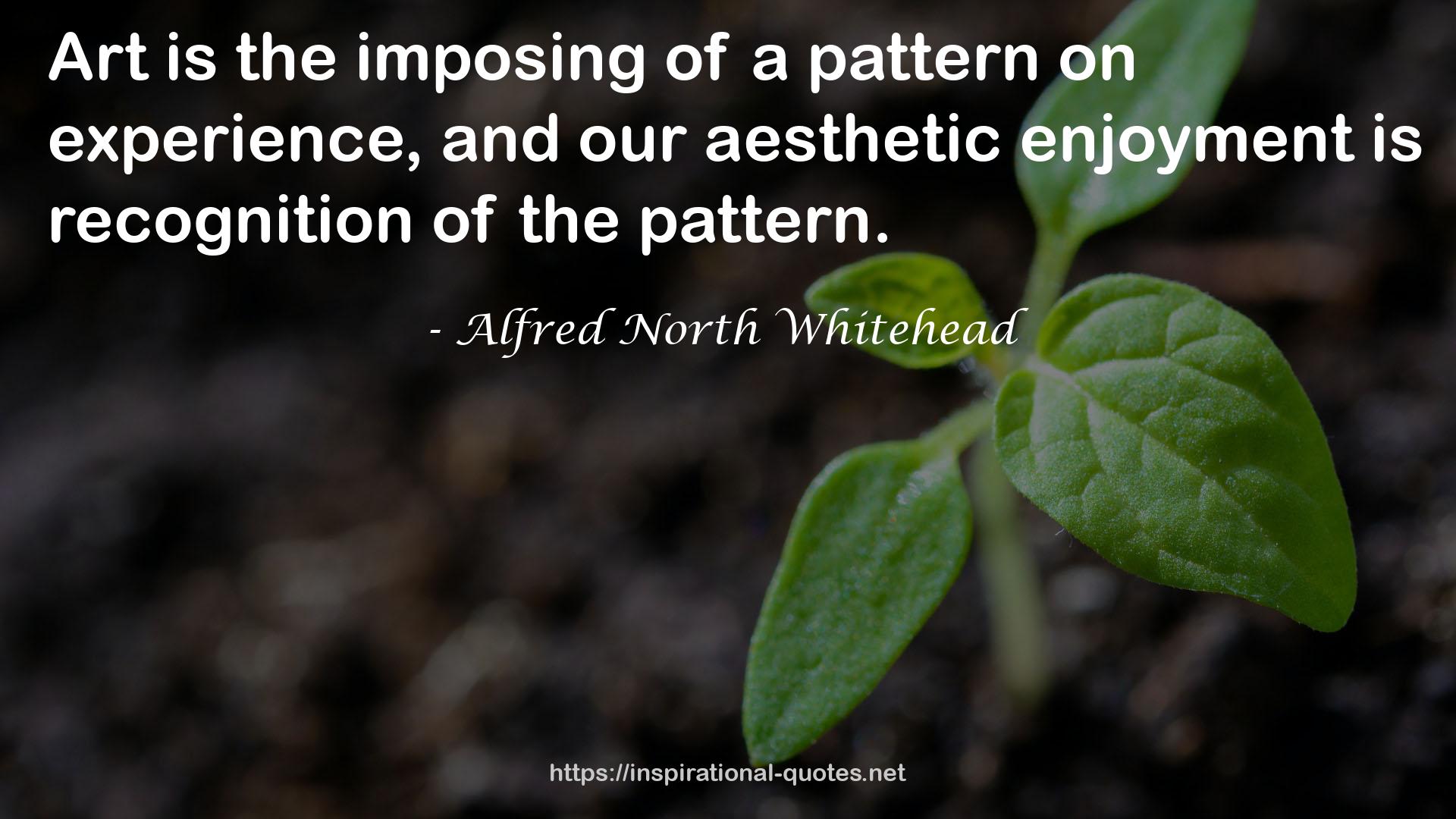 our aesthetic enjoyment  QUOTES