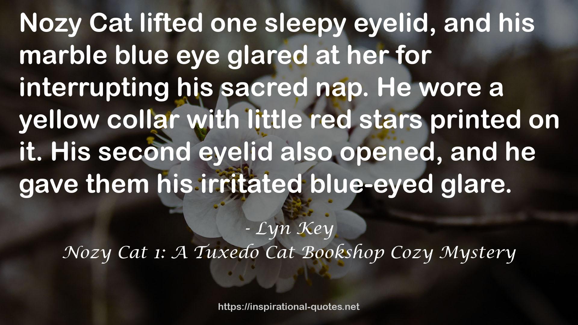 Nozy Cat 1: A Tuxedo Cat Bookshop Cozy Mystery QUOTES