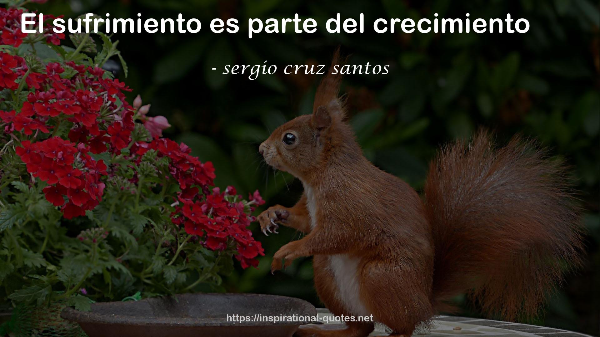 sergio cruz santos QUOTES