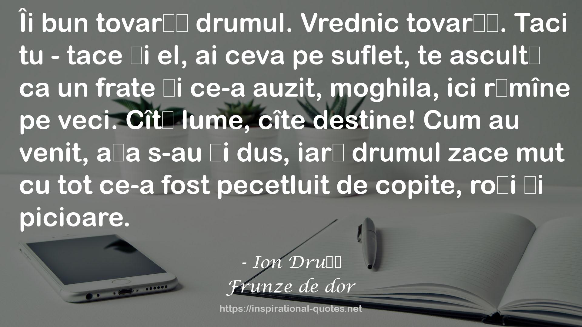 Frunze de dor QUOTES