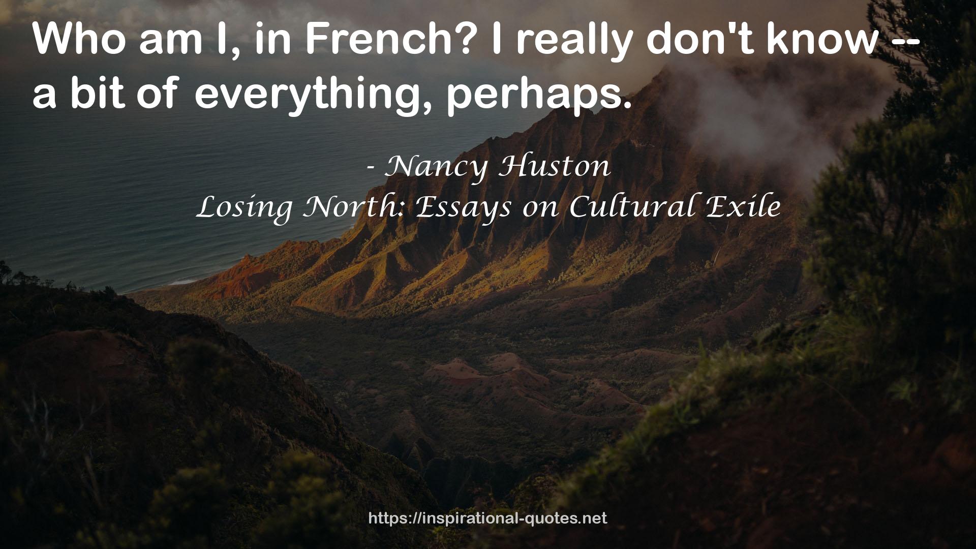Losing North: Essays on Cultural Exile QUOTES