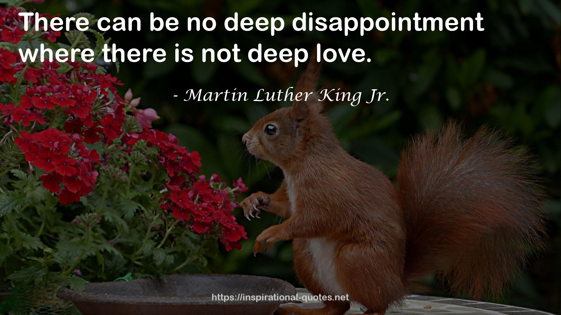 no deep disappointment  QUOTES